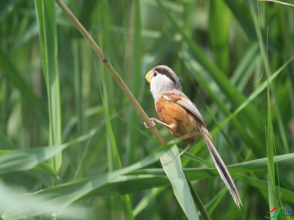 DSC20240721009.jpg