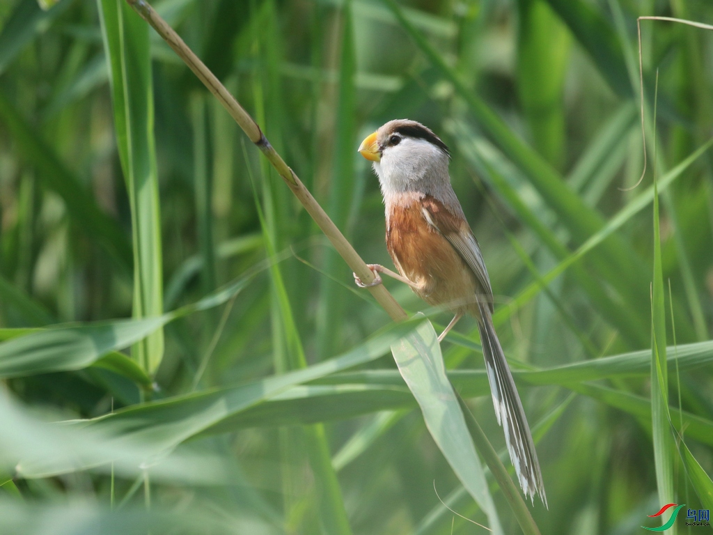 DSC20240721017.jpg