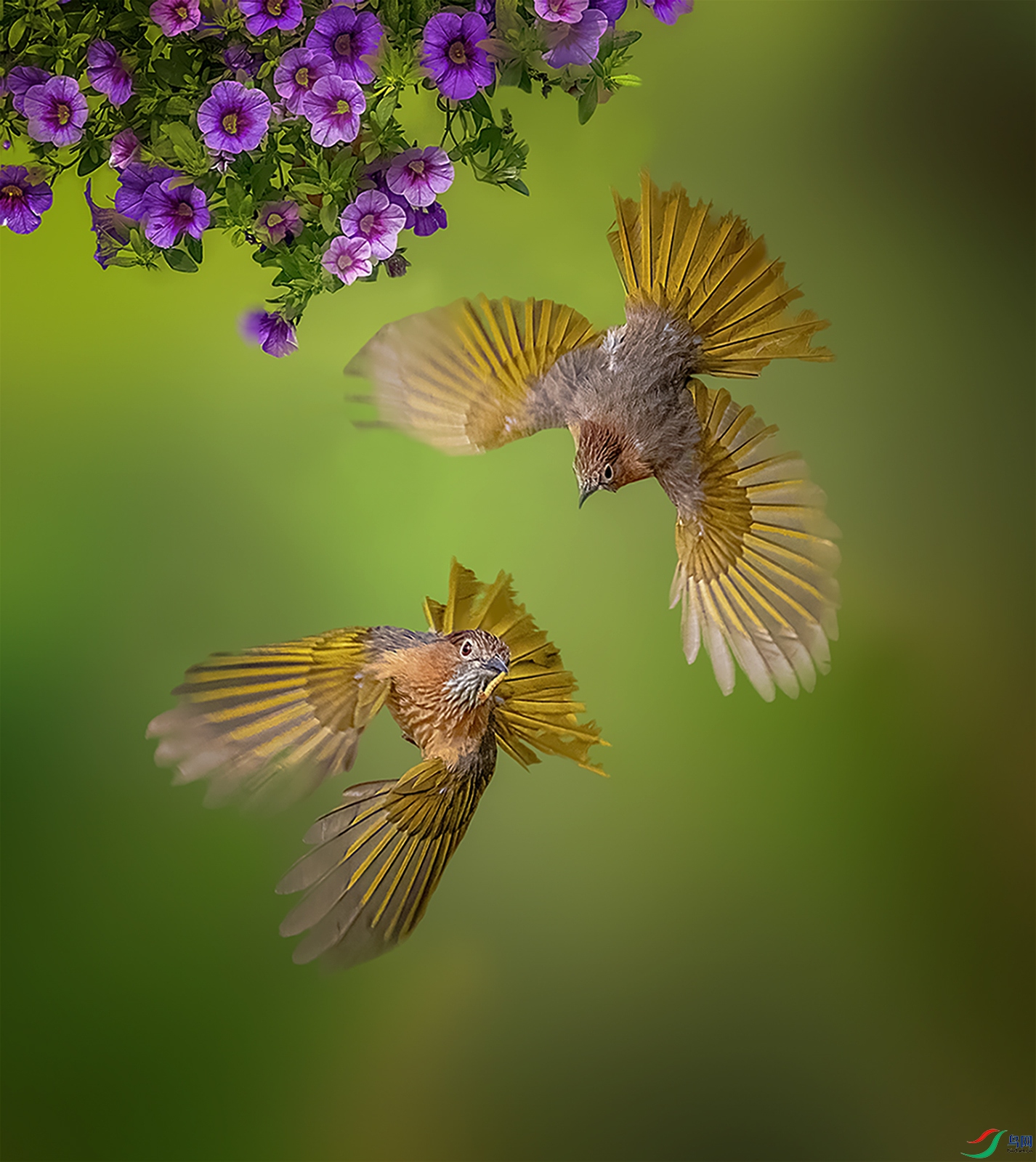 �������裡