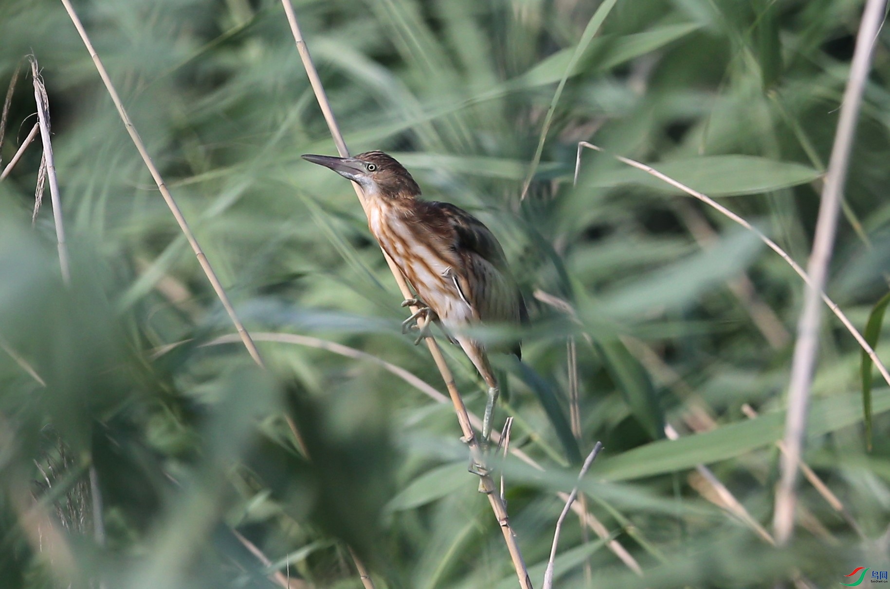 D89P9873.JPG
