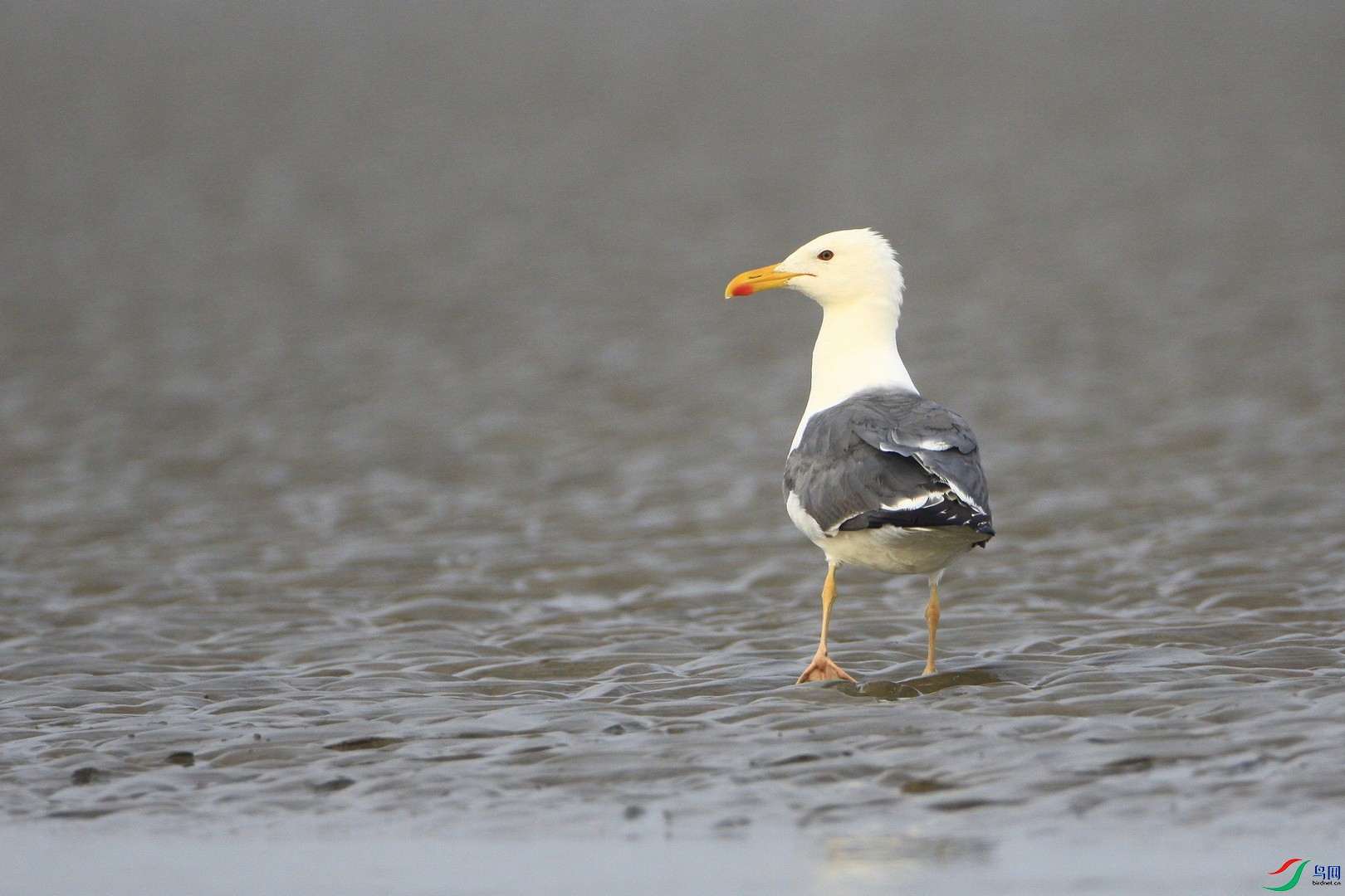 С�ڱ���Ÿ�� _MG_3512.jpg