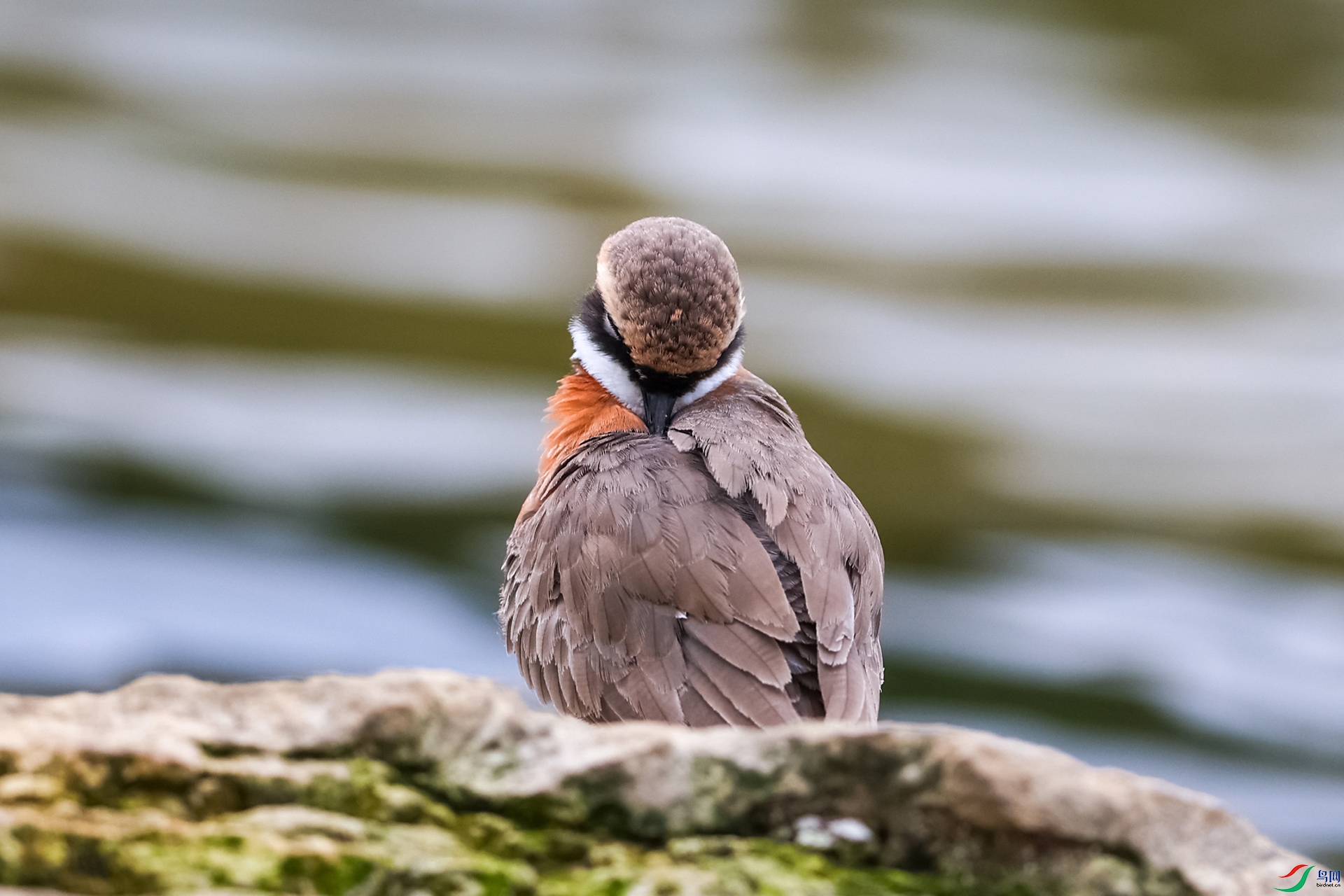 _202409203a.jpg