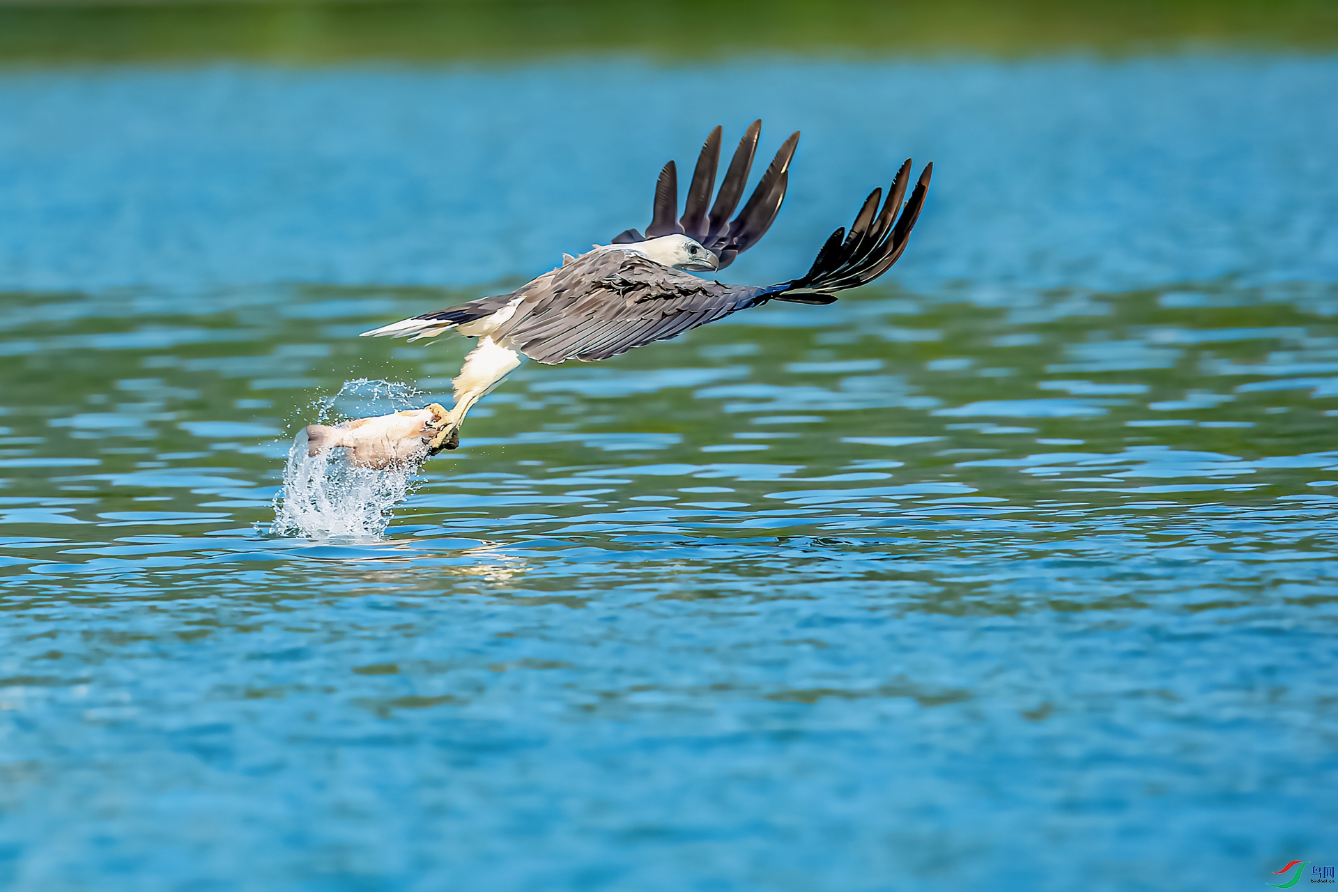 _DSC7206-11.jpg