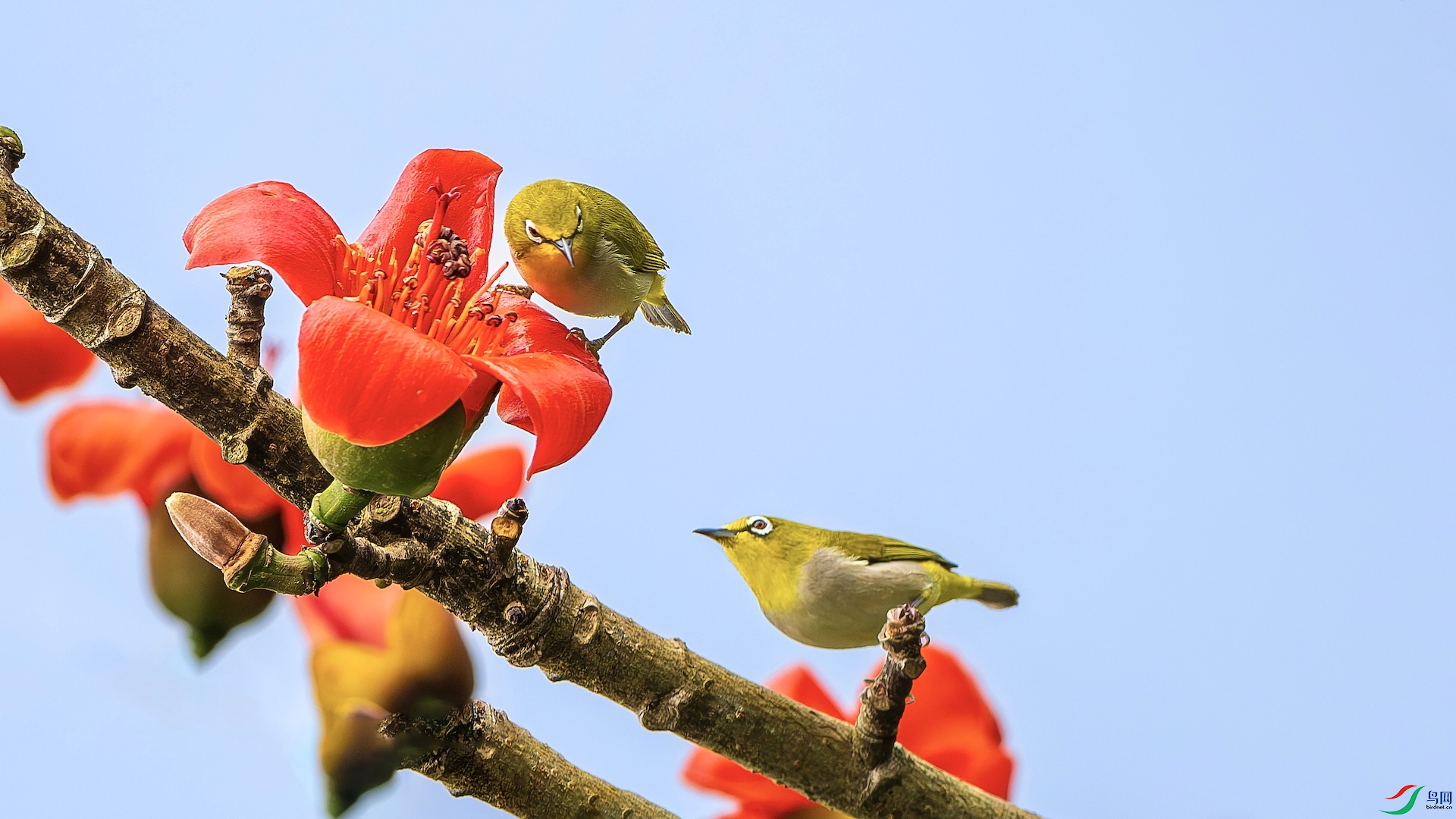 1_XXL3122-����ǿ-NR ����.jpeg