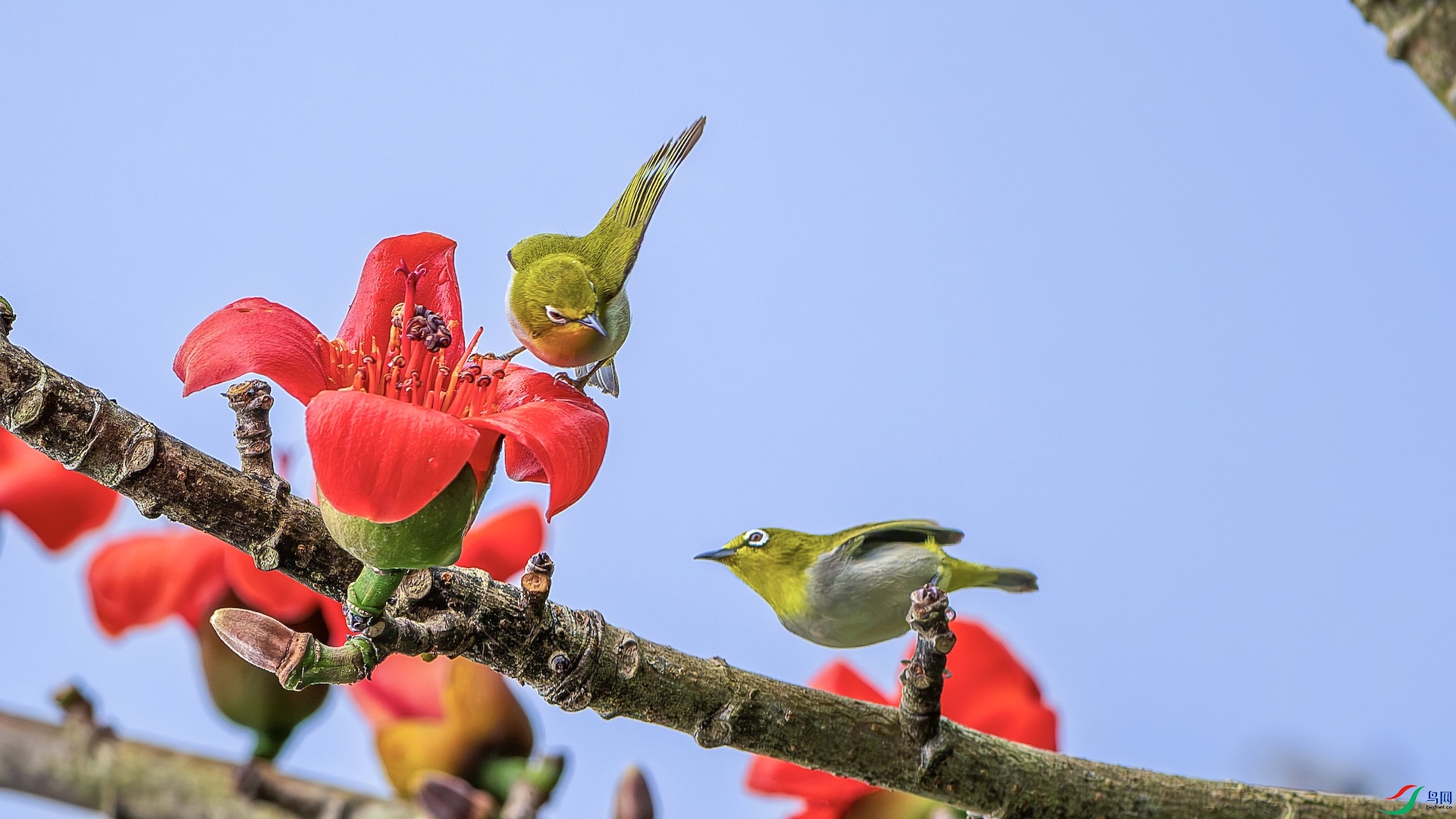 1_XXL3123-����ǿ-NR ����.jpeg