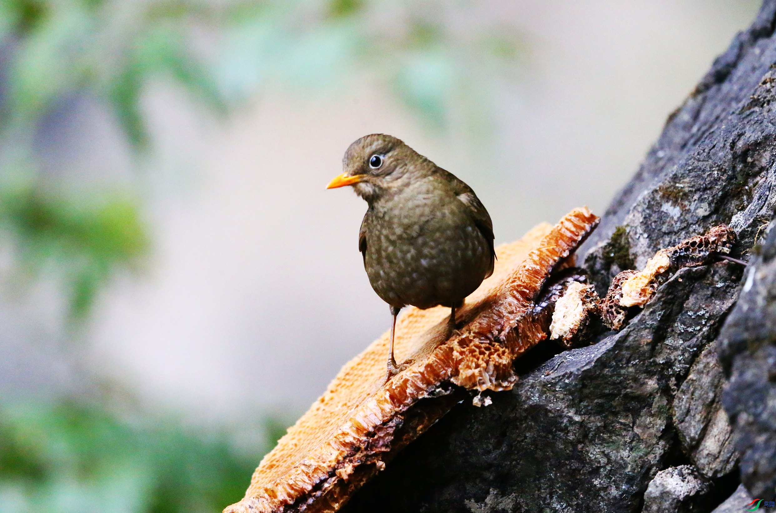 �ҳ�� (13).JPG