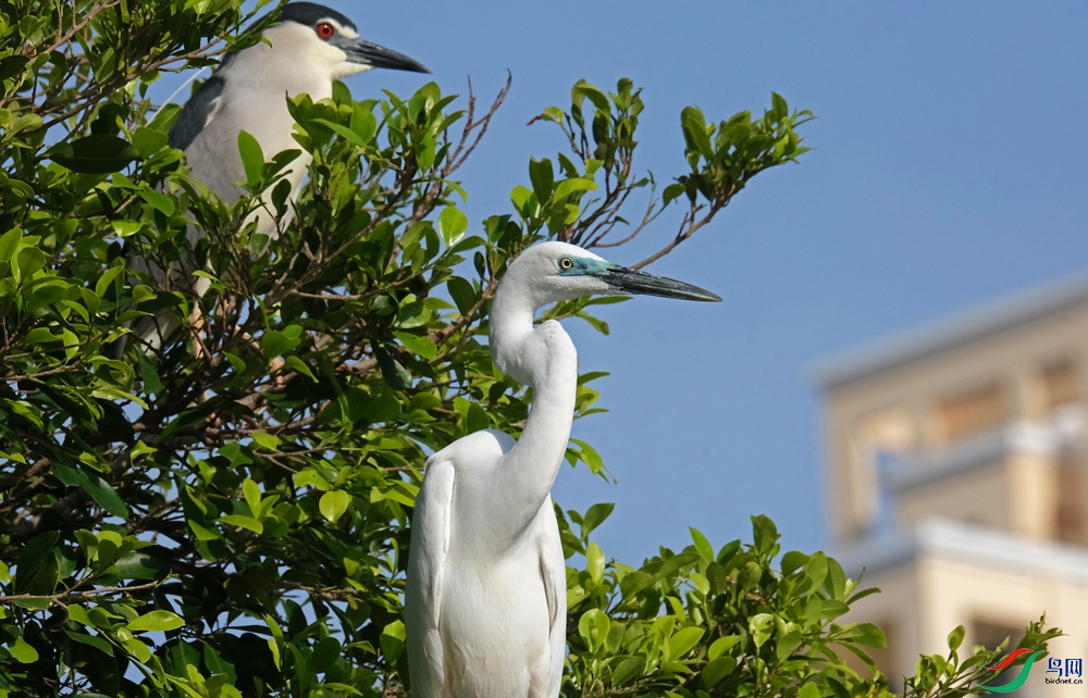 DSCF7793.1.jpg
