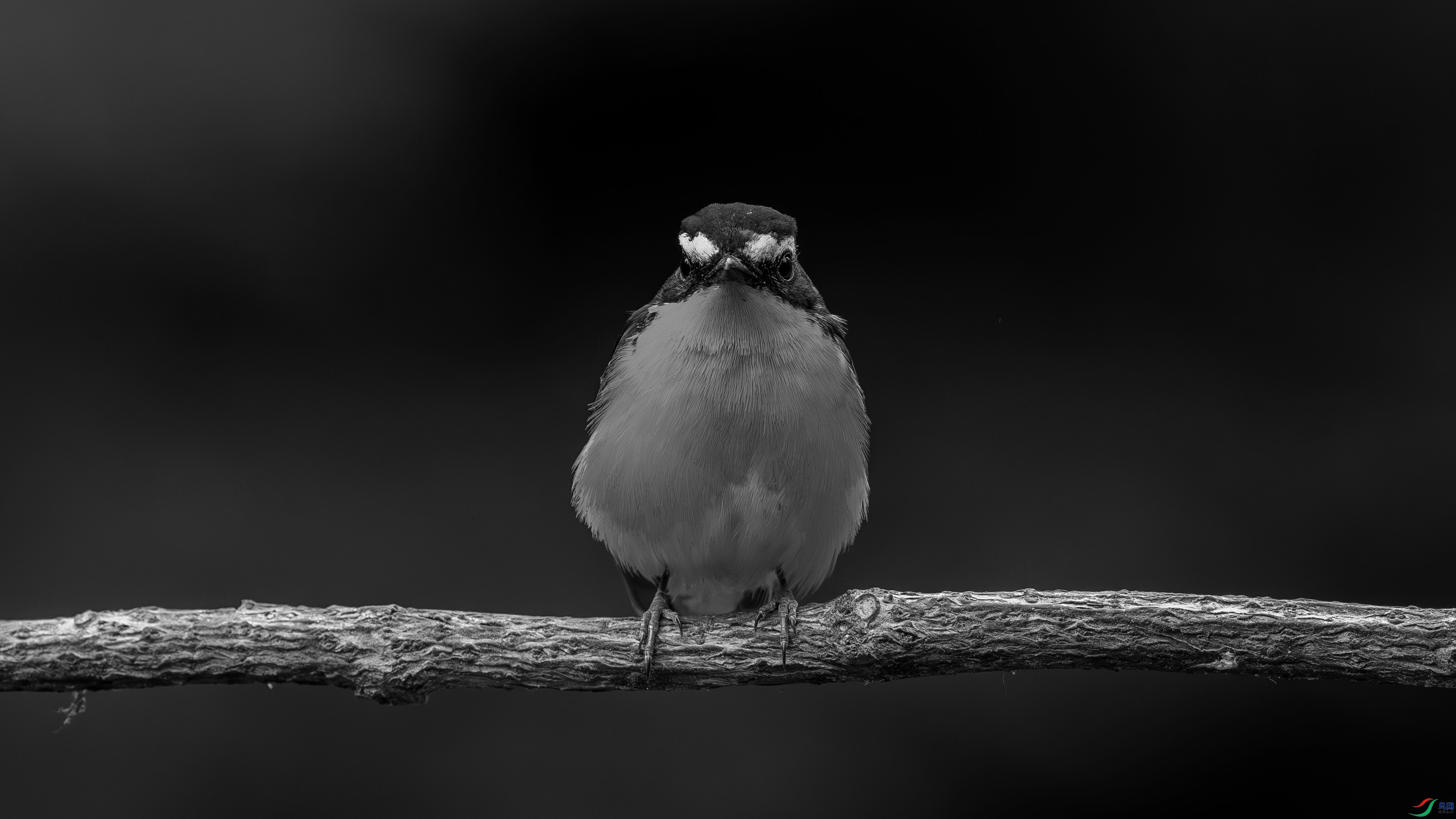 DSC05353h.jpg