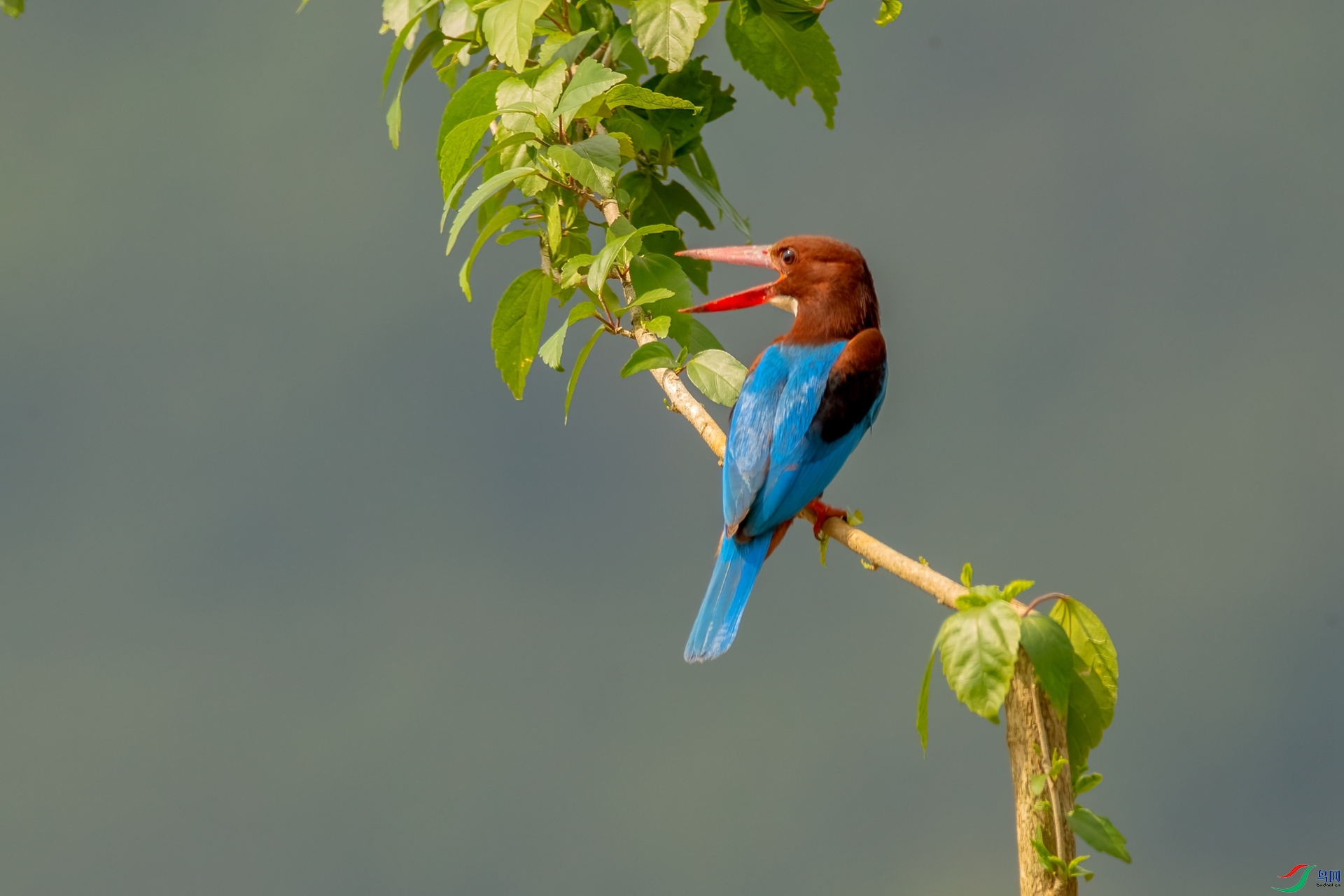 B86I5811 _����.jpg