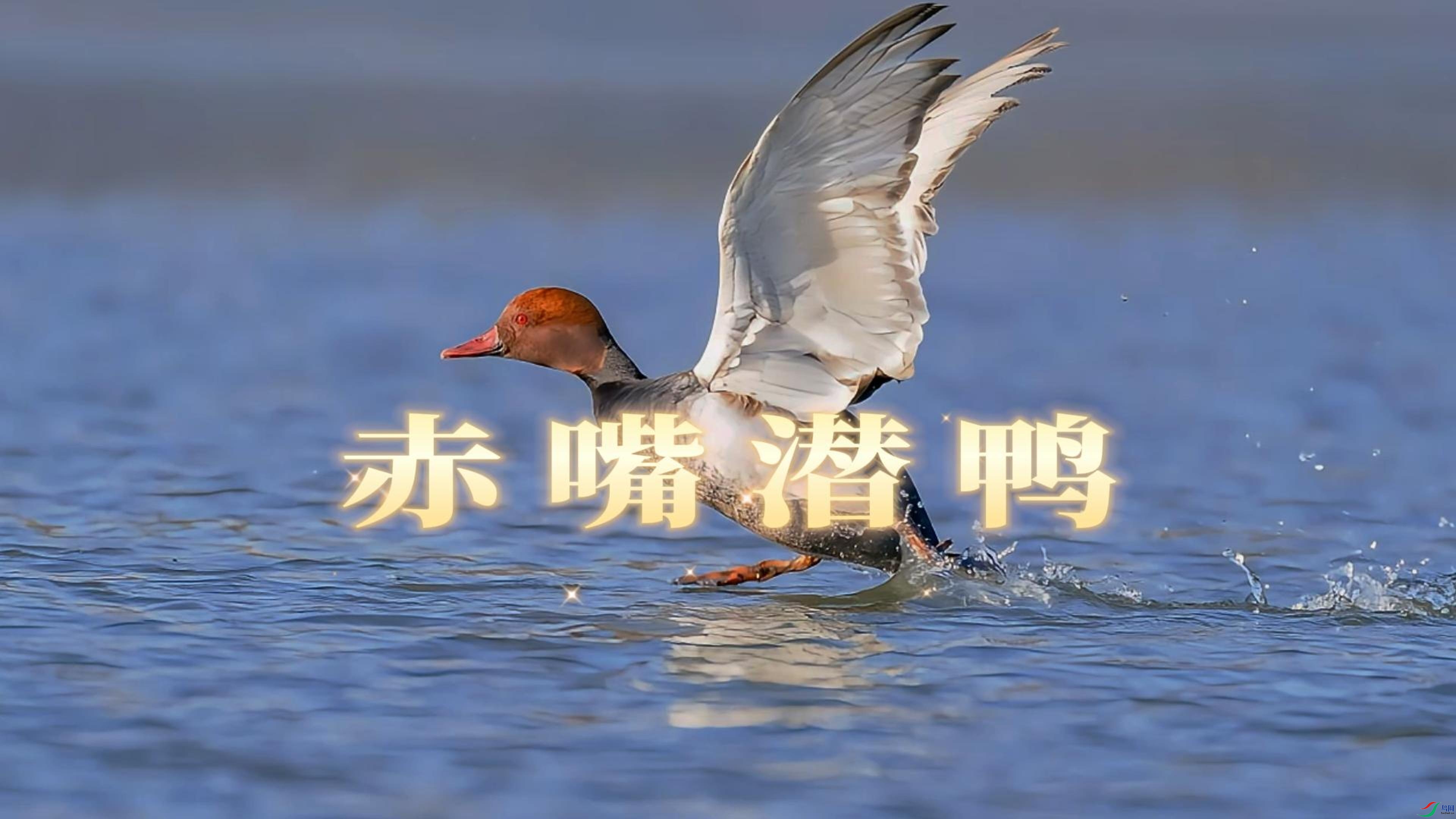 9��20�� (1)(1)-����.jpg