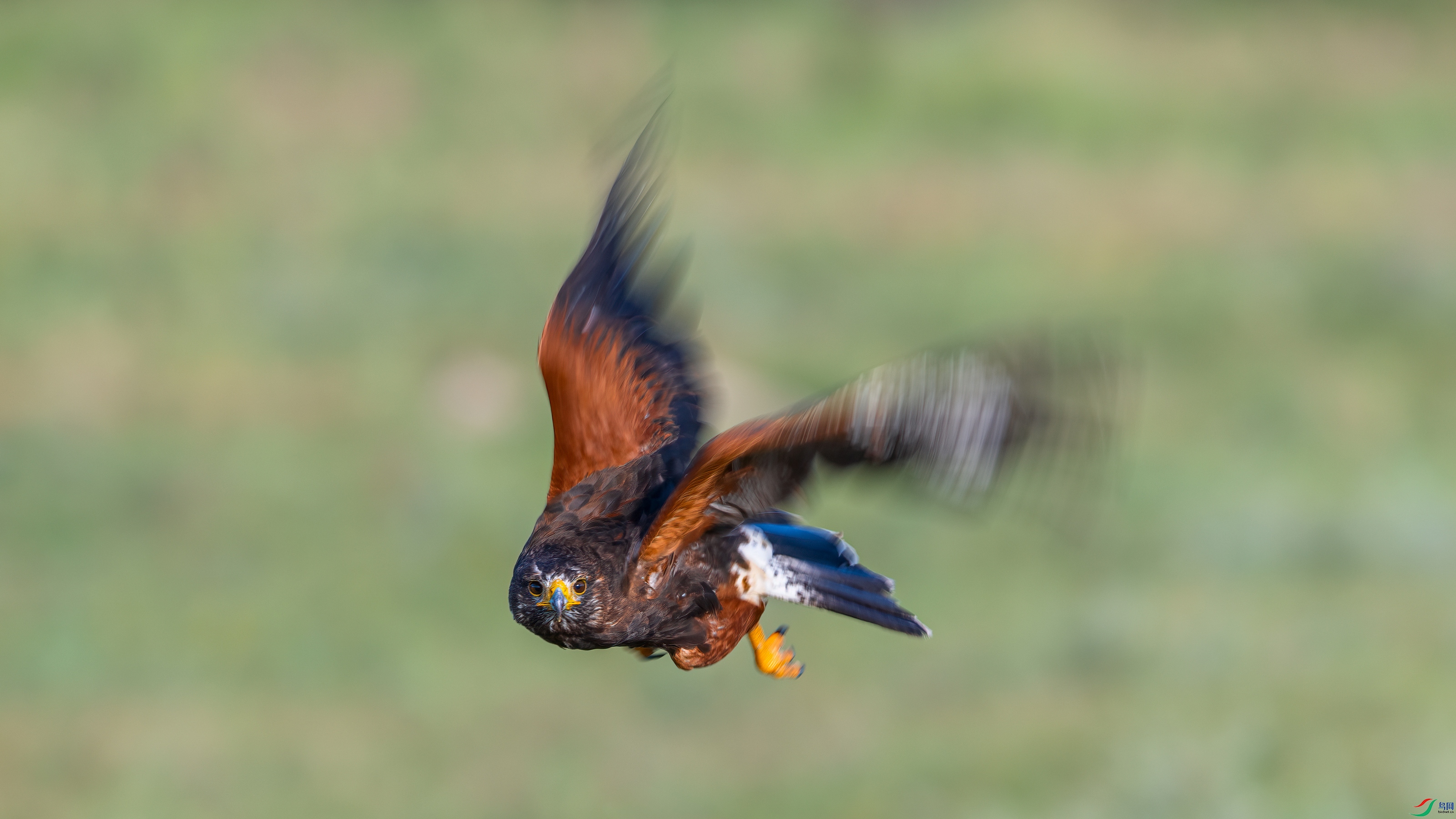 ��ƬDSC_2285 ����.jpg