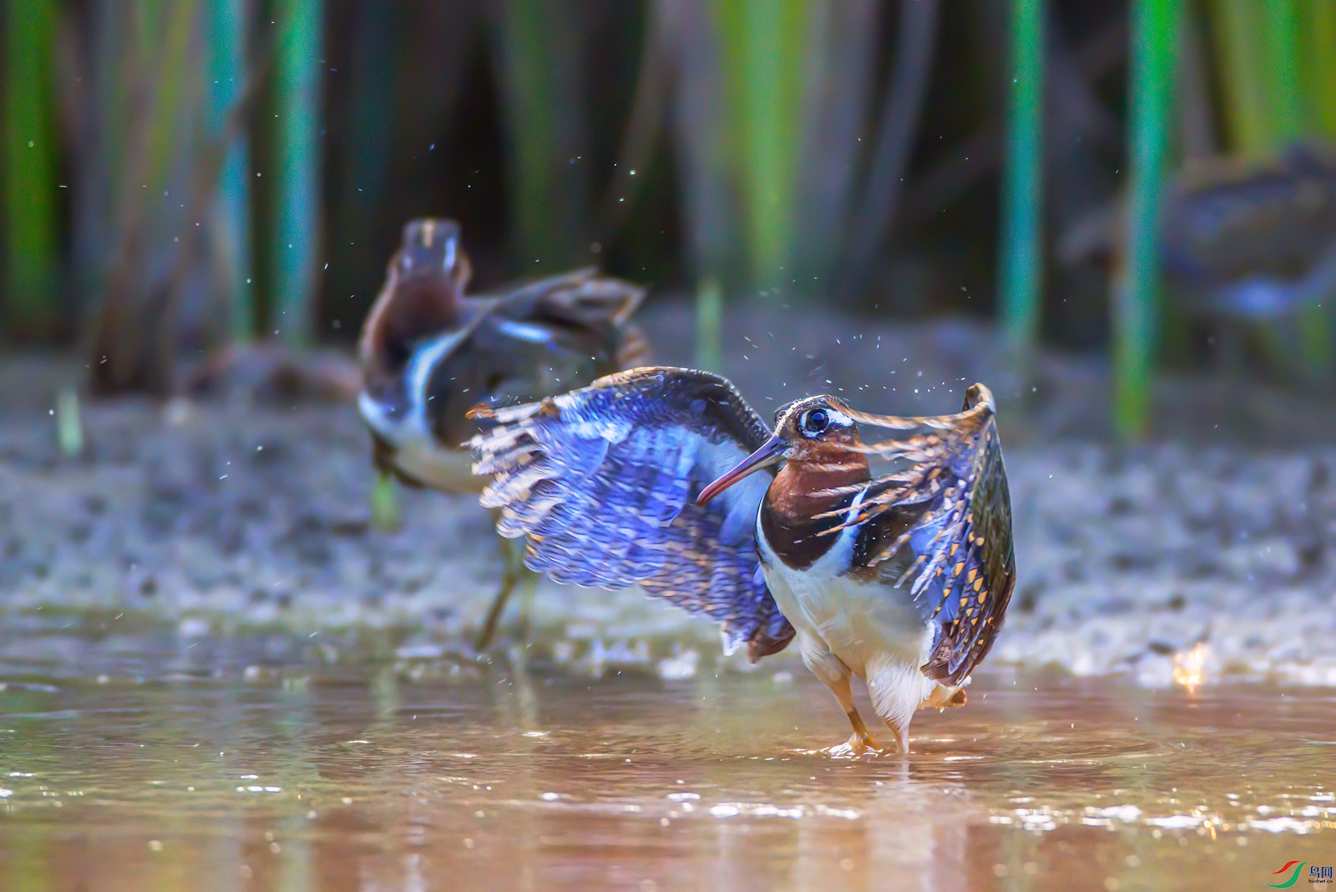 AS7I6748-DeN---1 .jpg