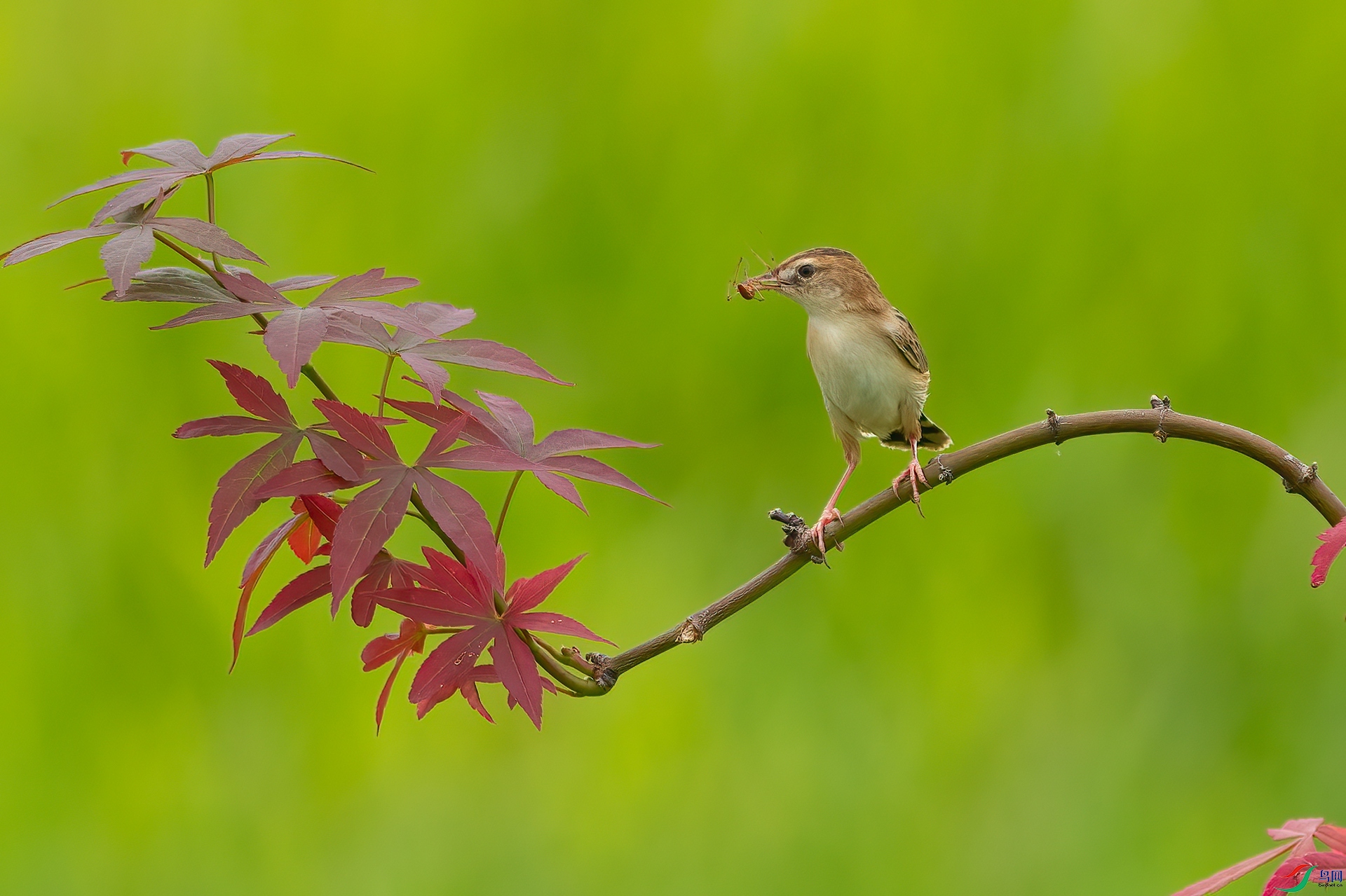 B86I0211 _����.jpg