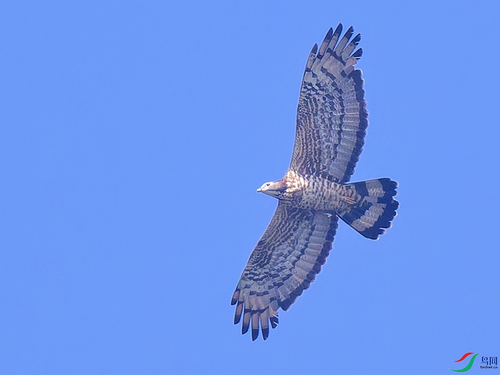 P9200097_DxO.jpg