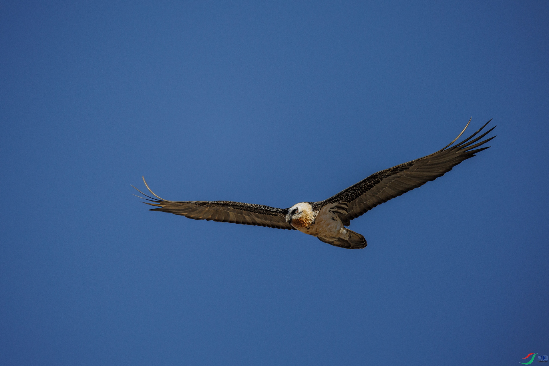 7X5A1168 ����.jpg