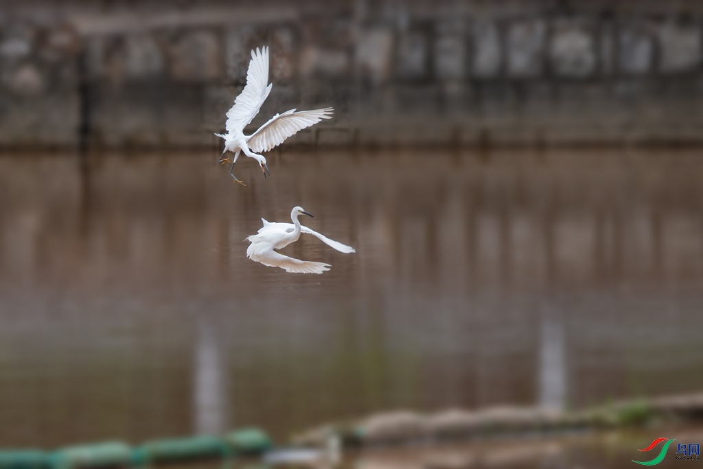 DSC_8205a.jpg
