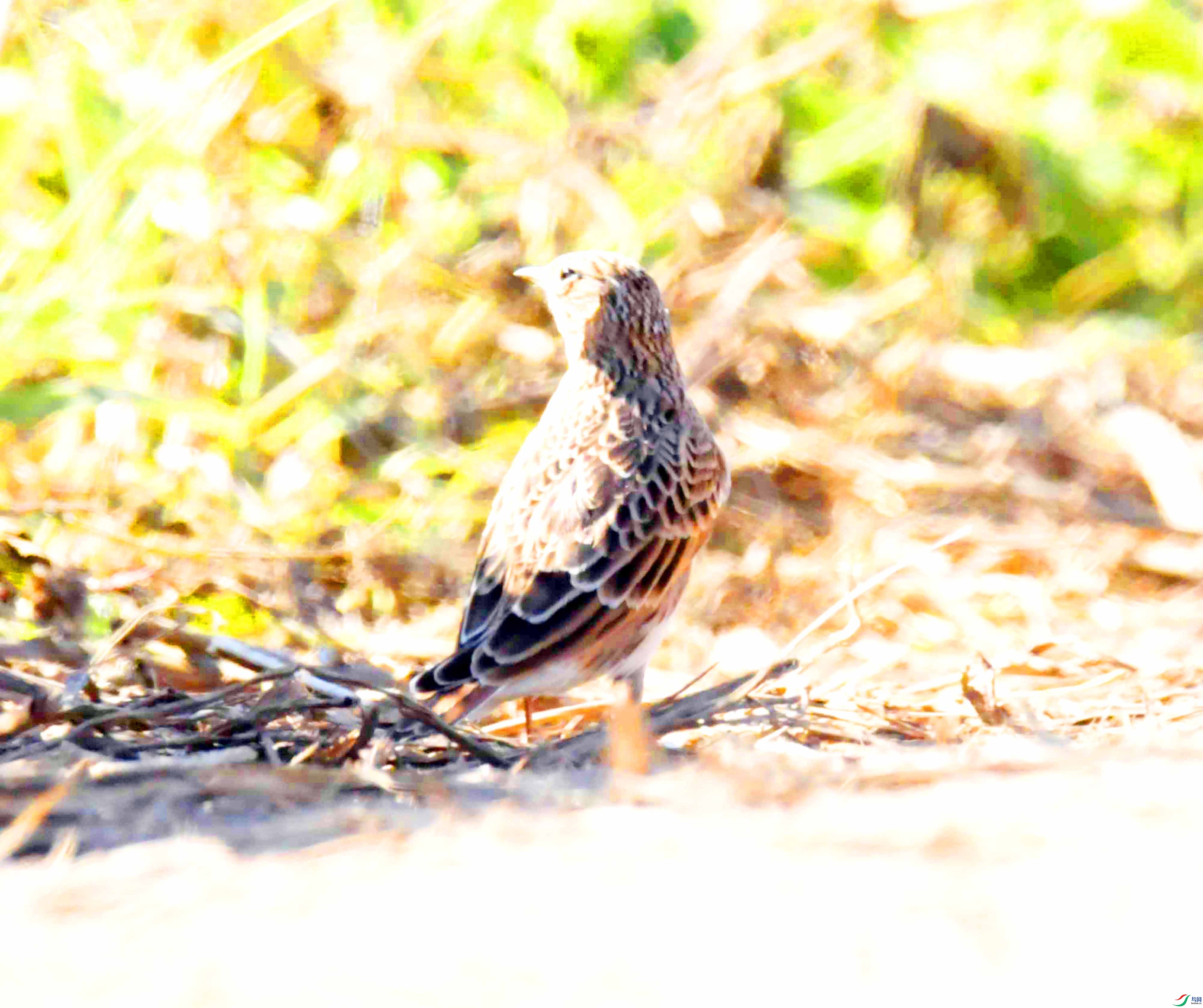 DSC_8863.JPG