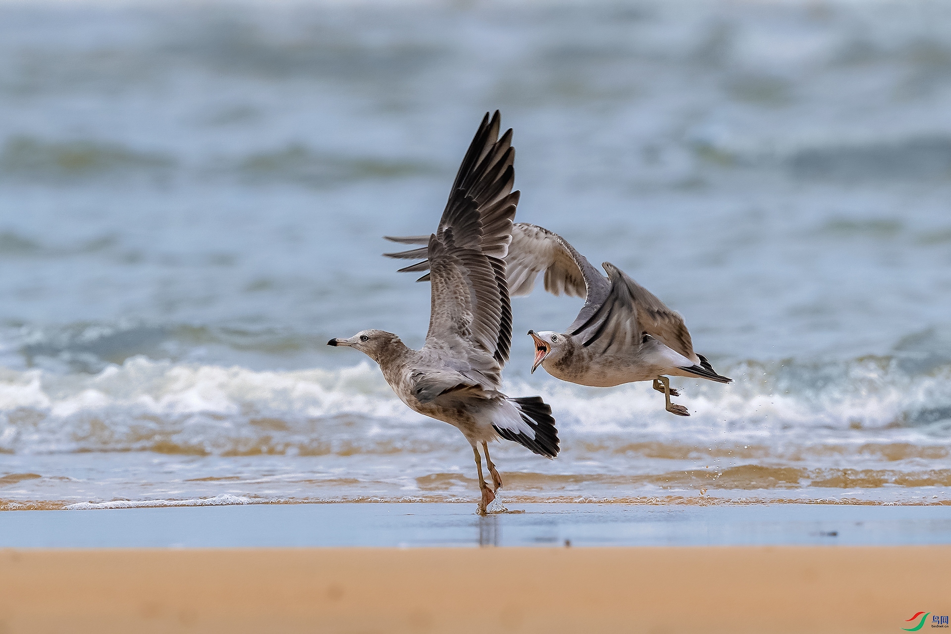 _DSC2053 ���� С.jpg