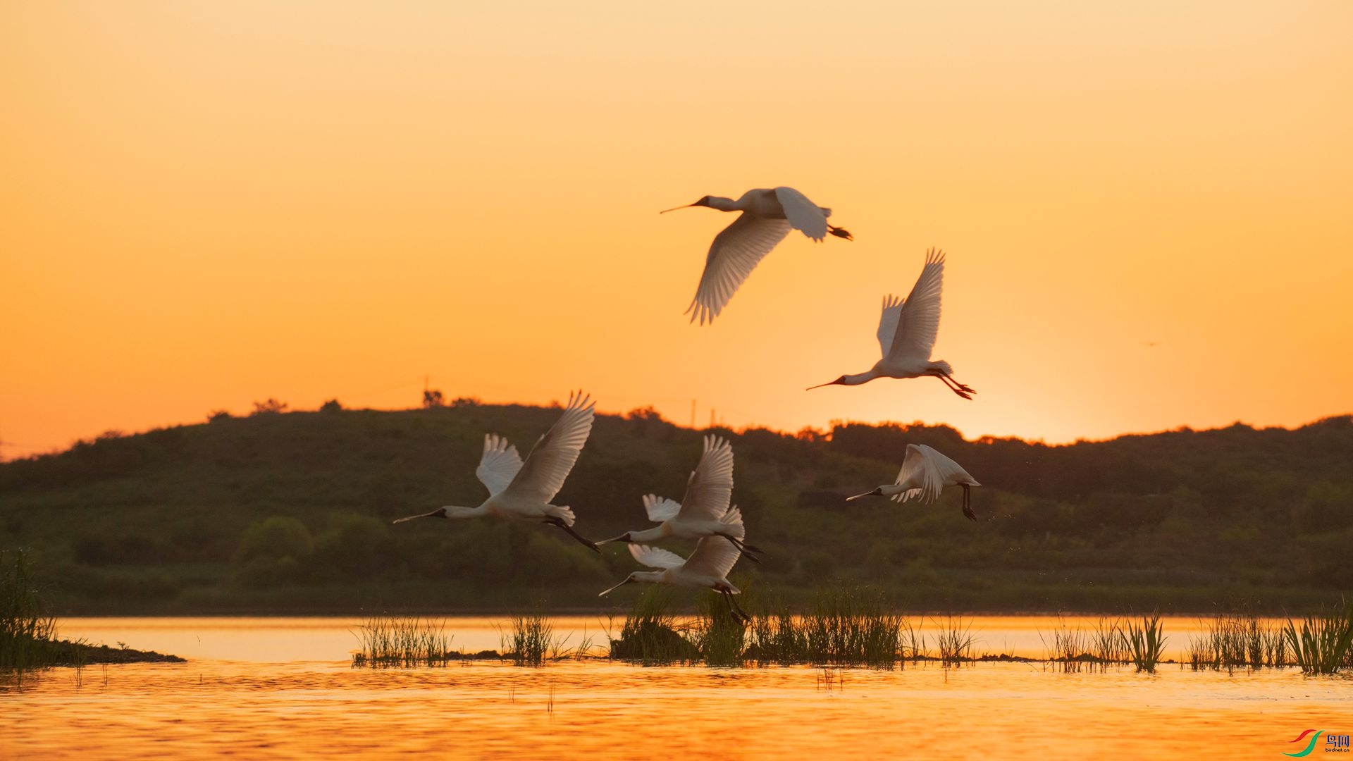 ���� ҹ�� ���.jpg