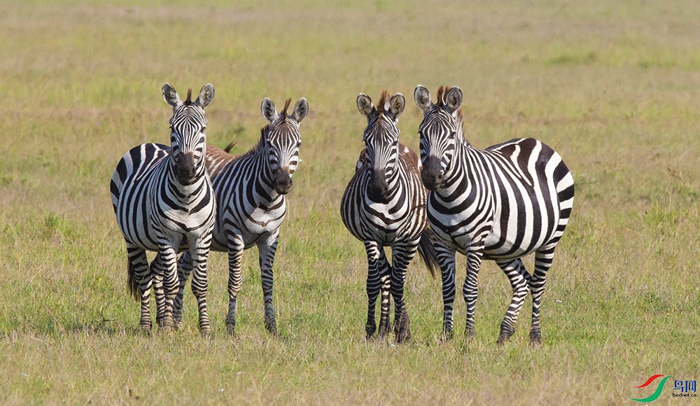 ���� (5).jpg