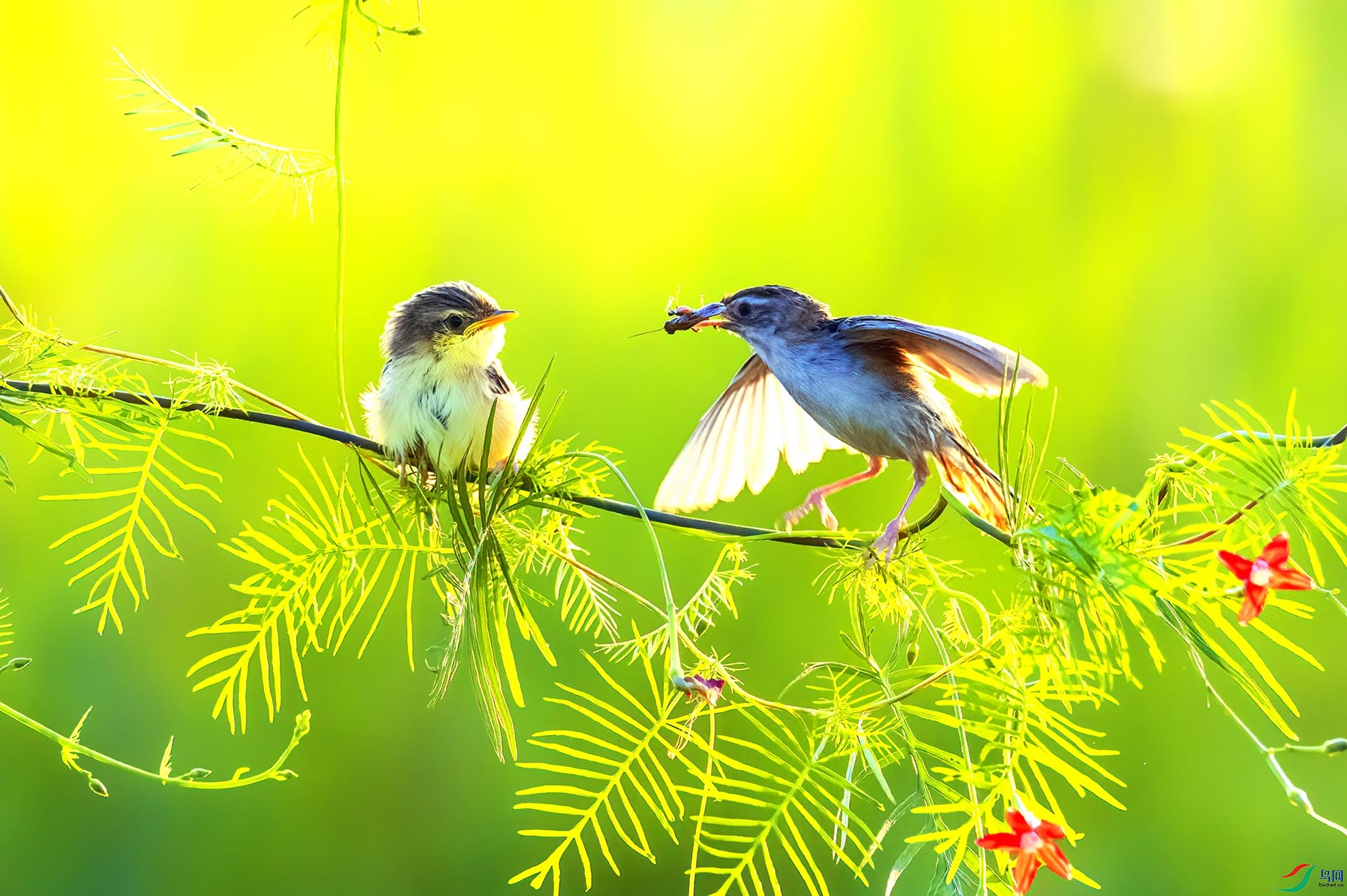 ���������