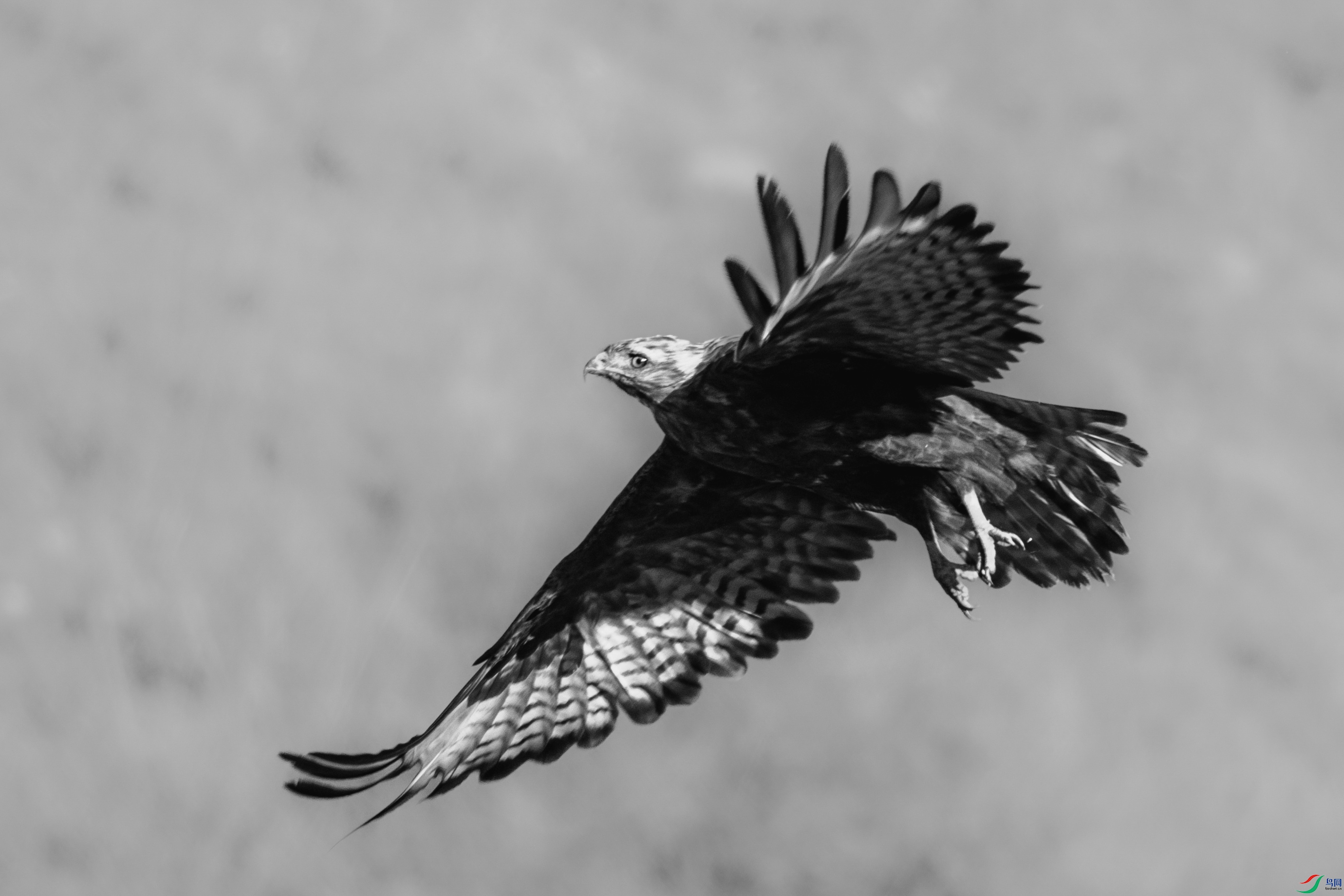 4F8A8828.jpg