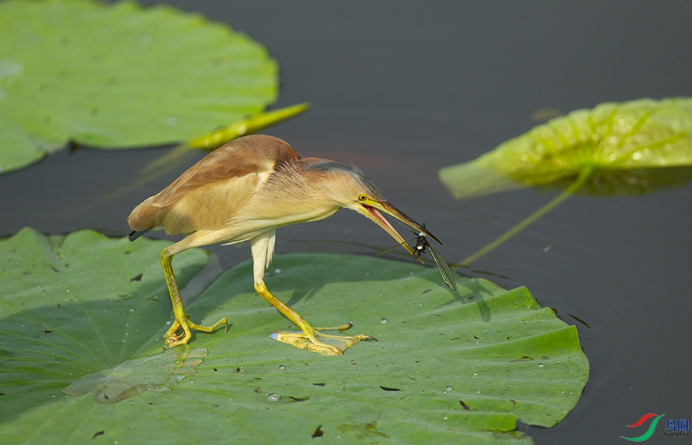 ��έ�Z (5).jpg