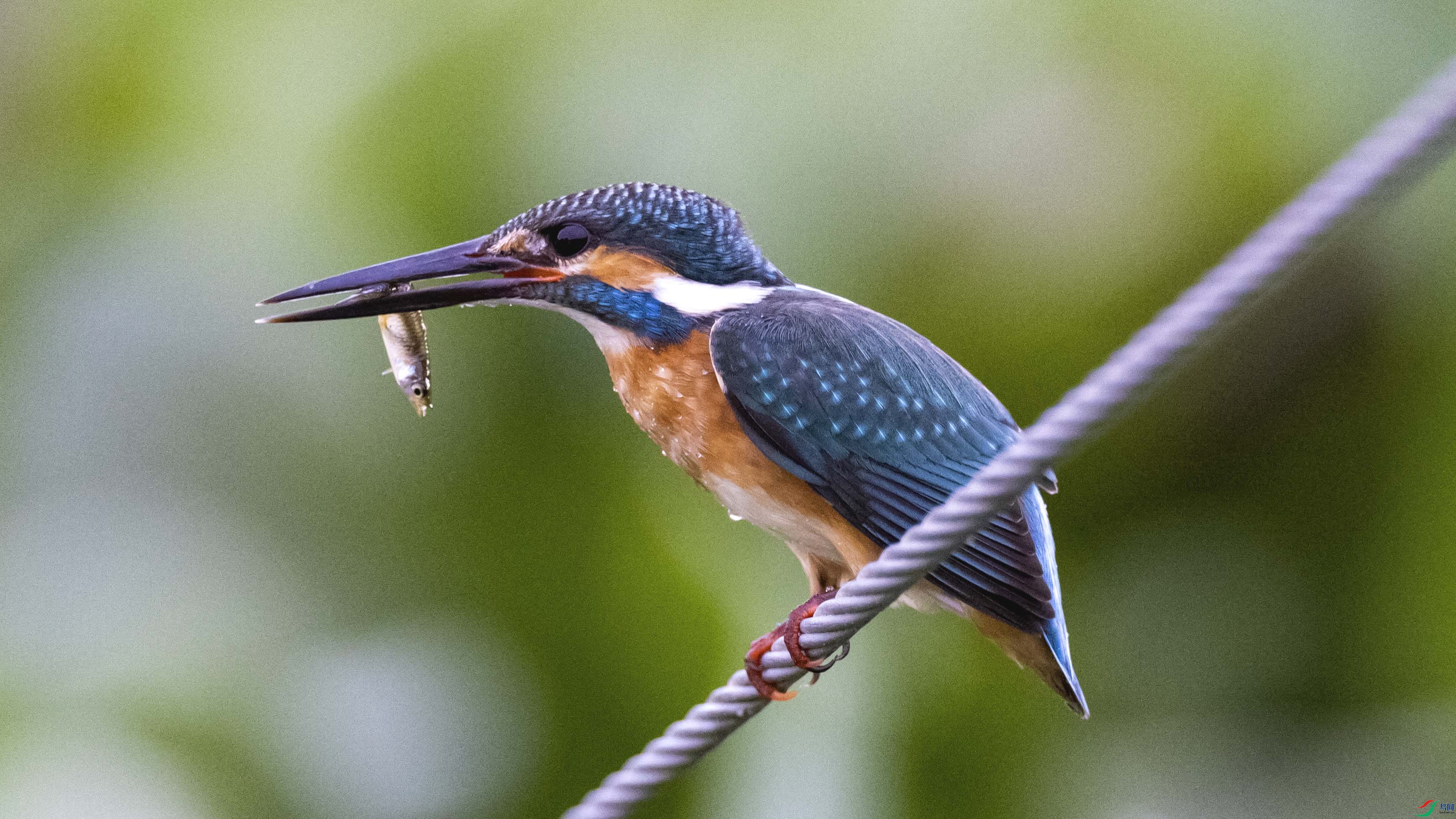 4Z6A3663.jpg