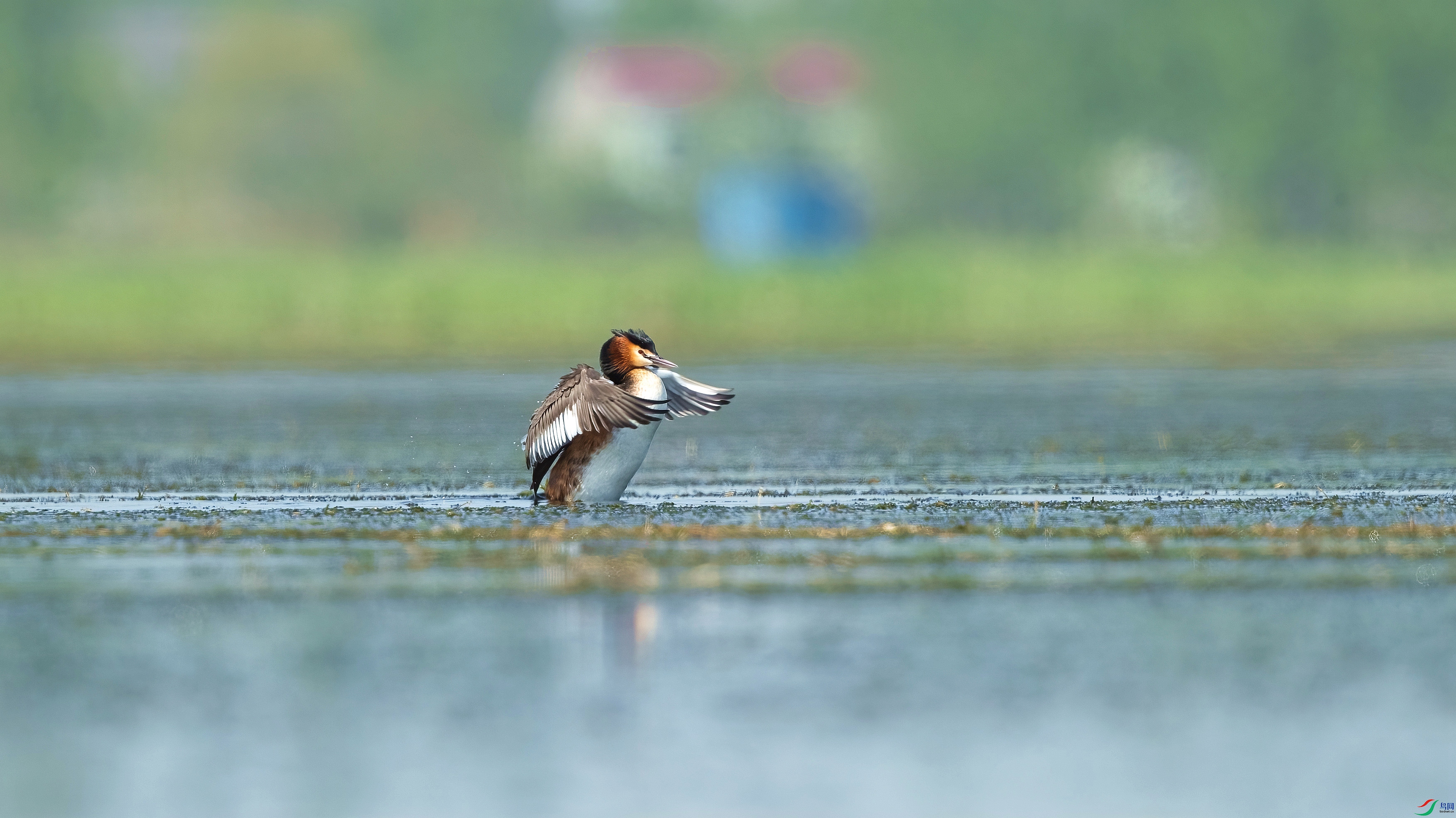 B89I9574.jpg