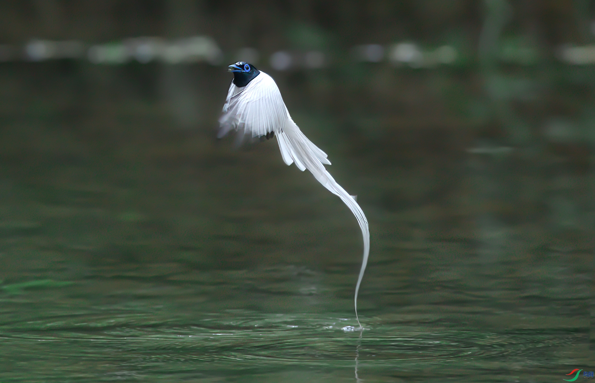 _S7I7579-Sh---1 .jpg