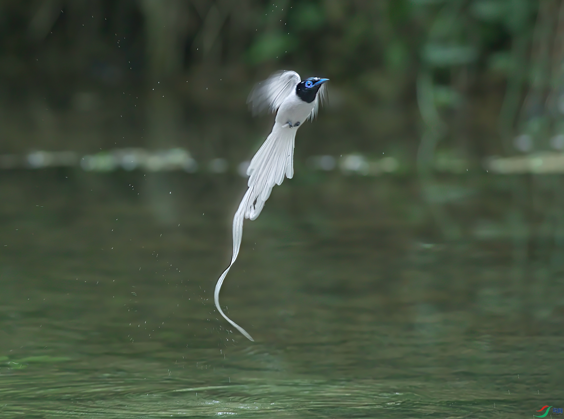 _S7I7583-SharpenAI-focus-Sh---1 .jpg