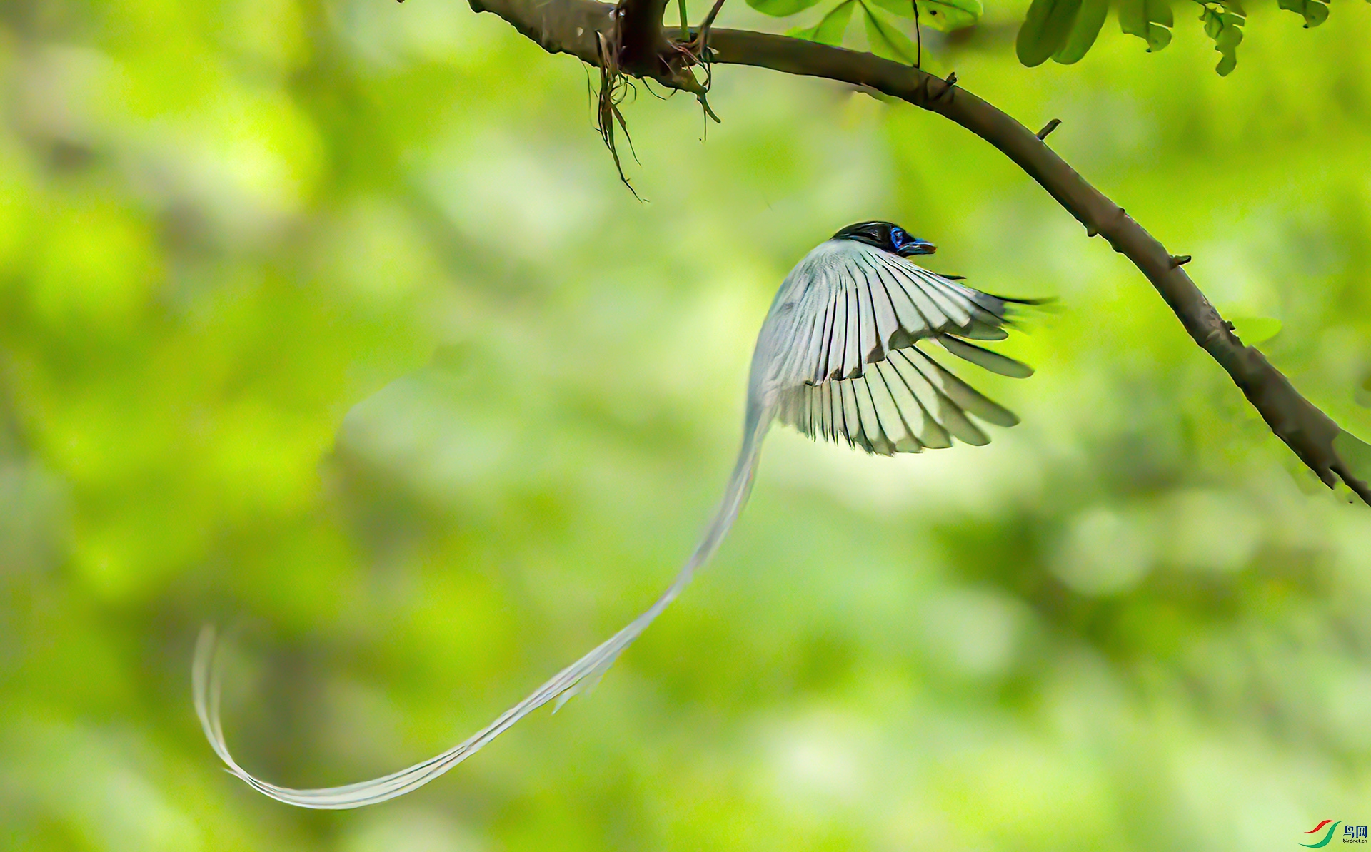 _S7I7551-SharpenAI-softness-De---1 .jpg