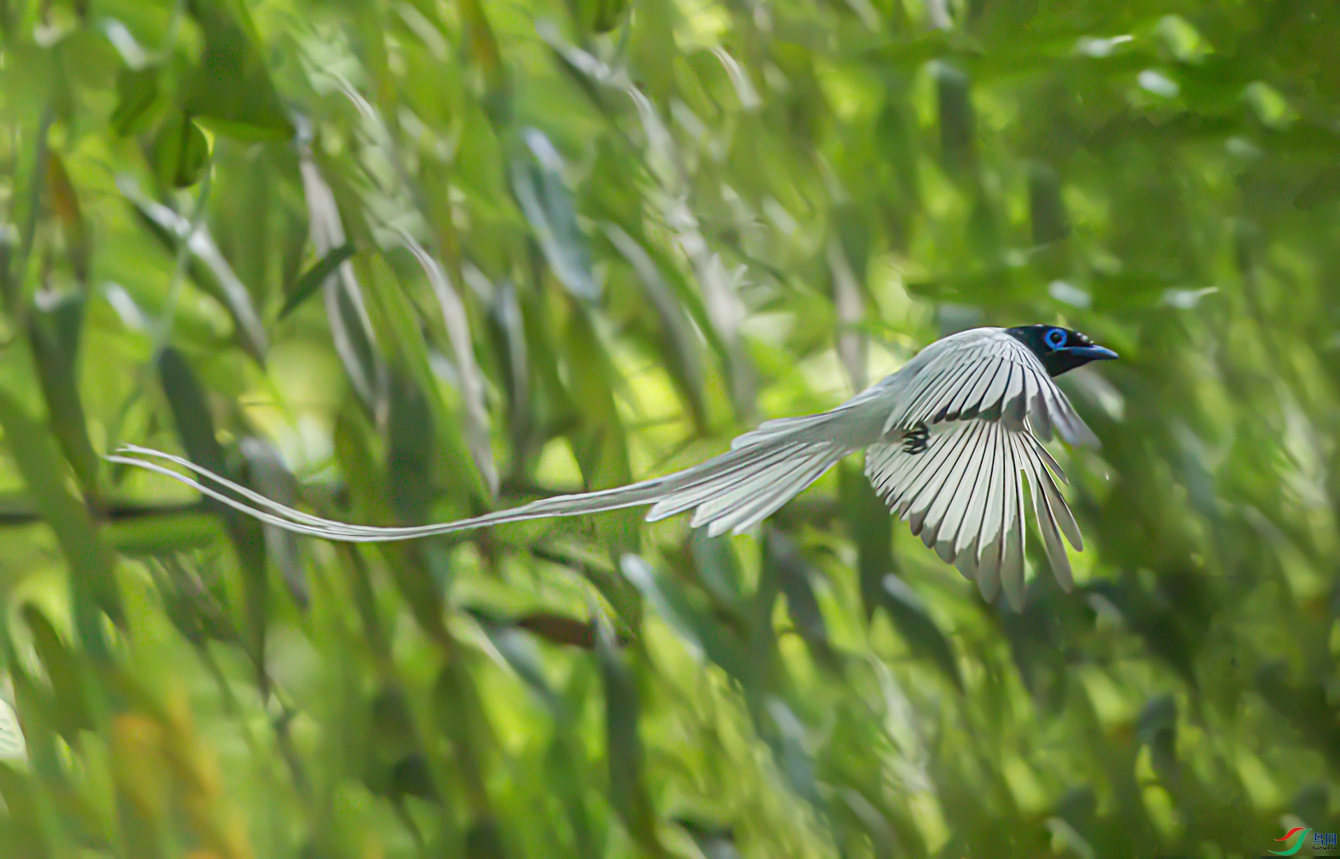 _S7I7518-Sh----1 .jpg