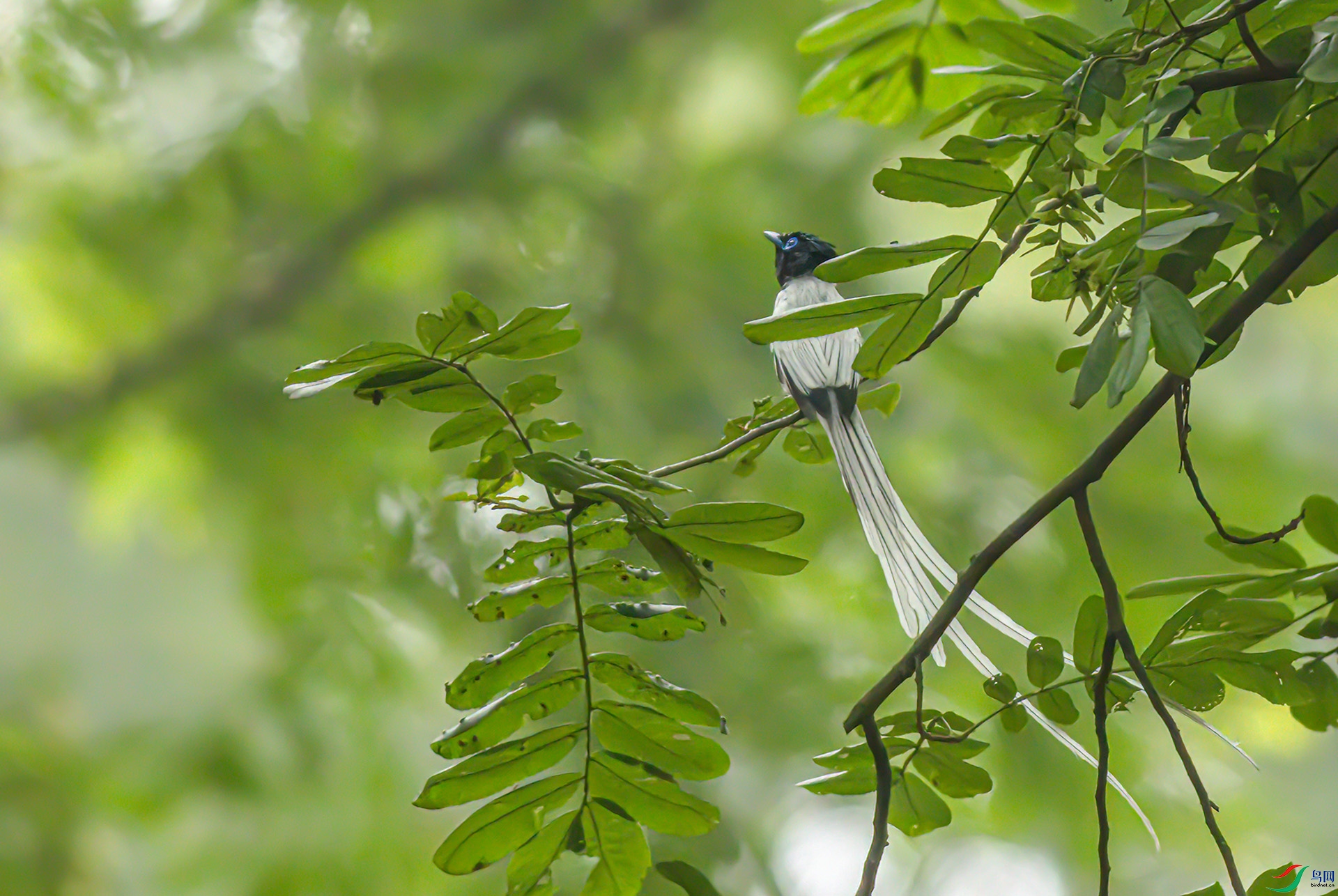 _S7I7965-DeNo---1 .jpg