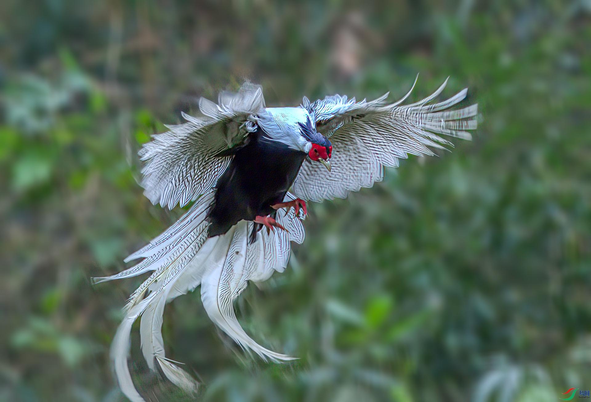 AS7I1598-Sh-----1 .jpg