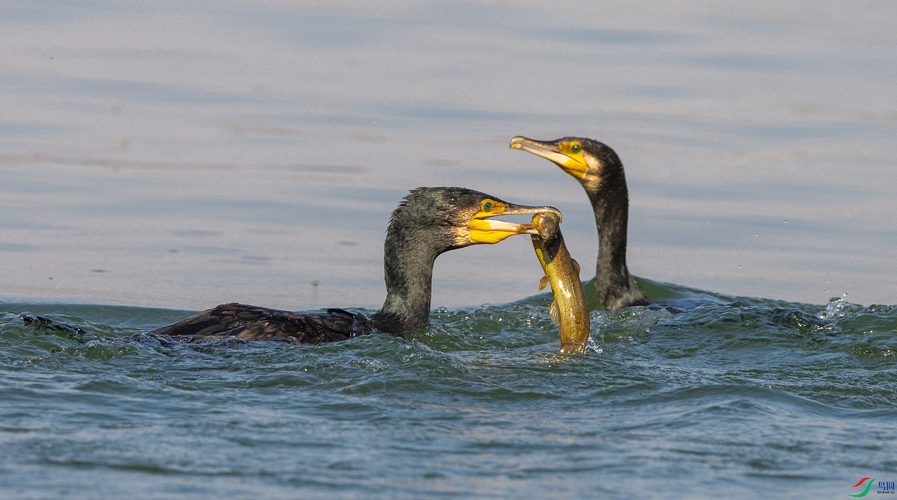 1880 ����.jpg