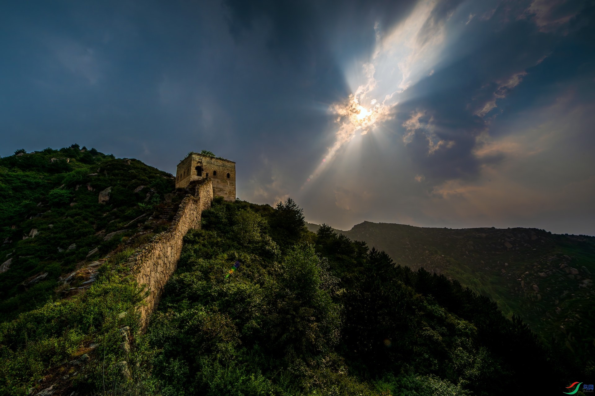 1_DSC2006-����ǿ-NR ����.jpeg