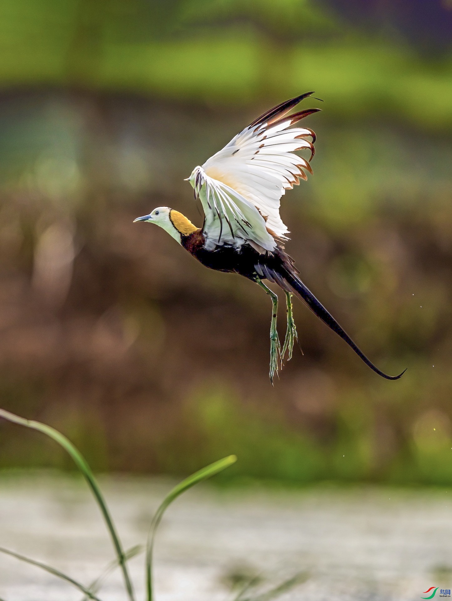 1-2-15 ����.jpeg