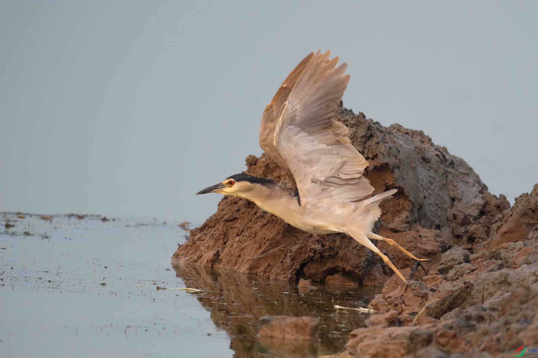 sen2016 7-4-2-�༭.jpg