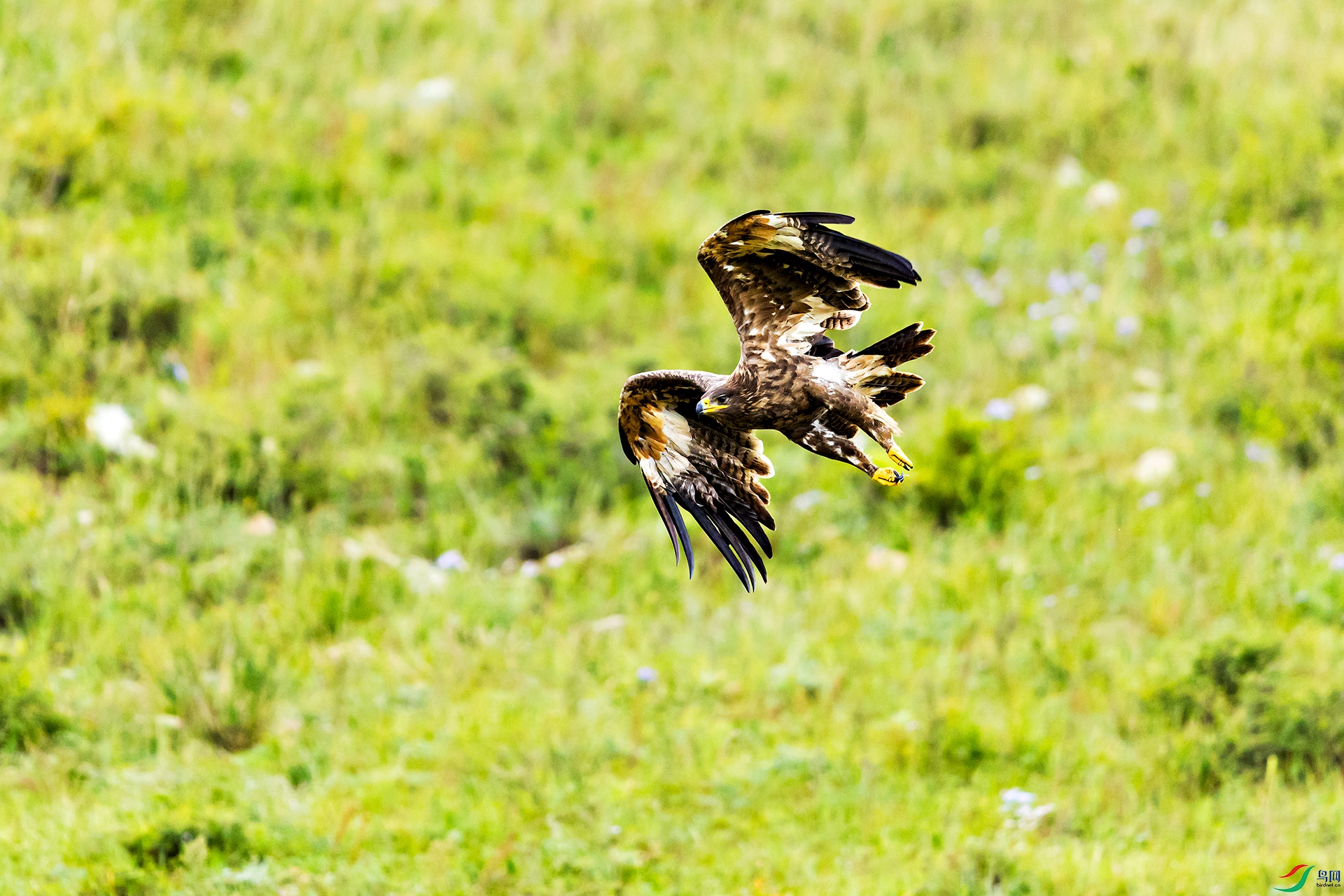063A1072 ����.jpg