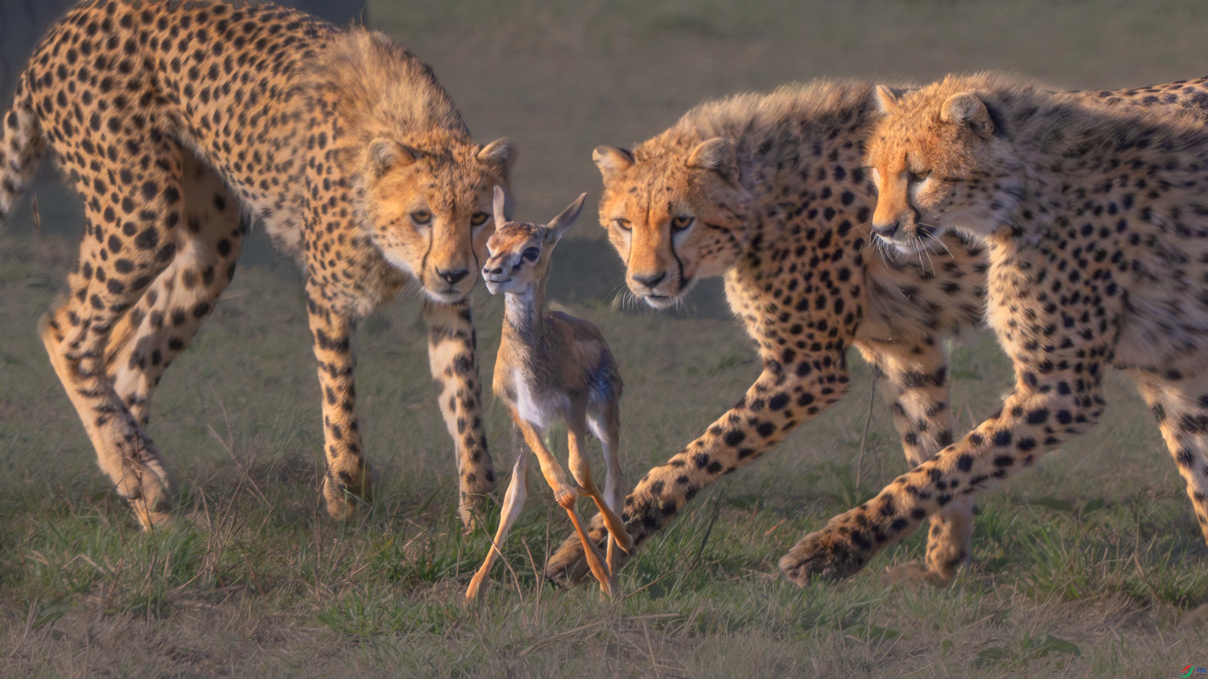 _DSC2266-����ǿ-NR22 ����_1.jpg