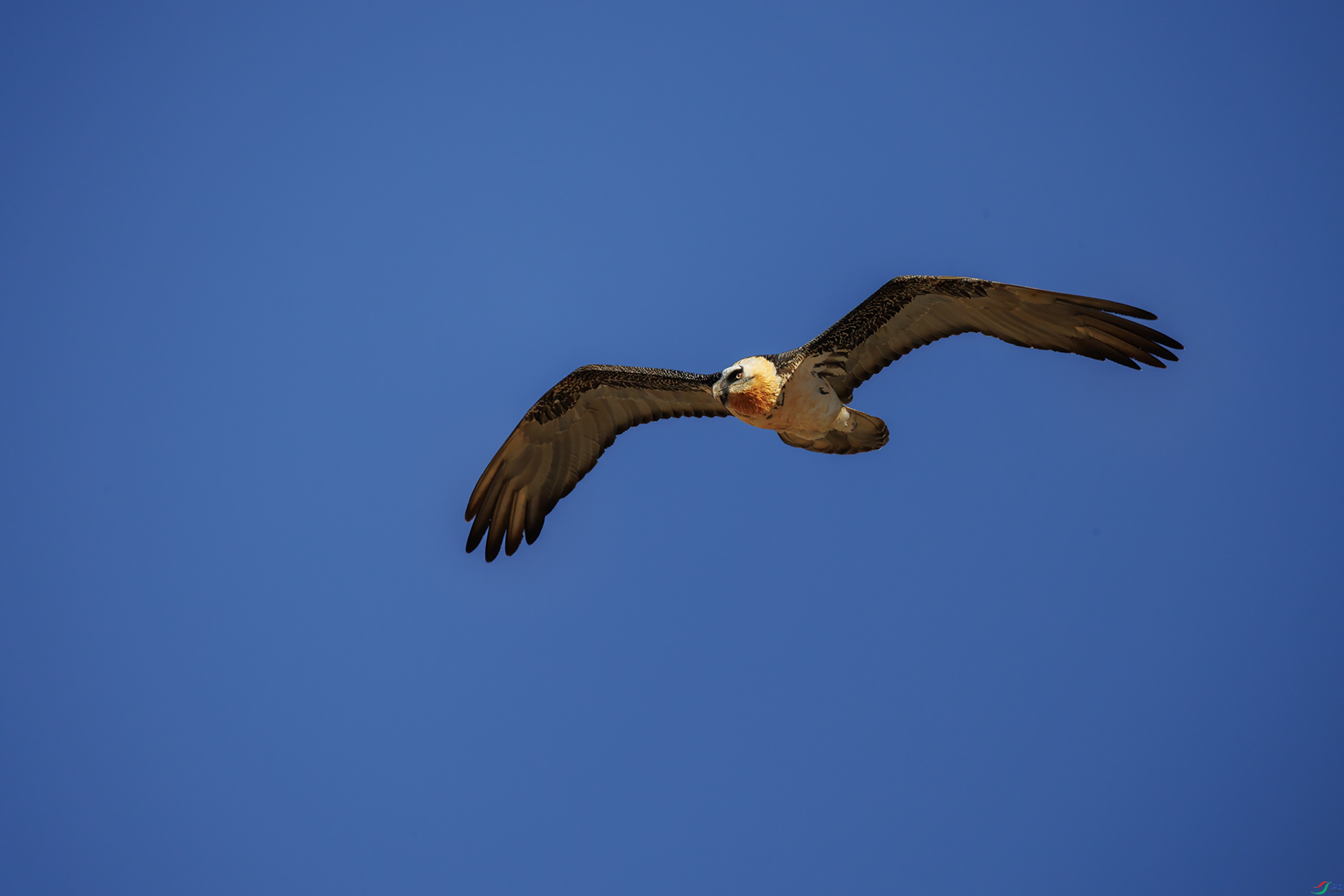 7X5A1152 ����000.jpg