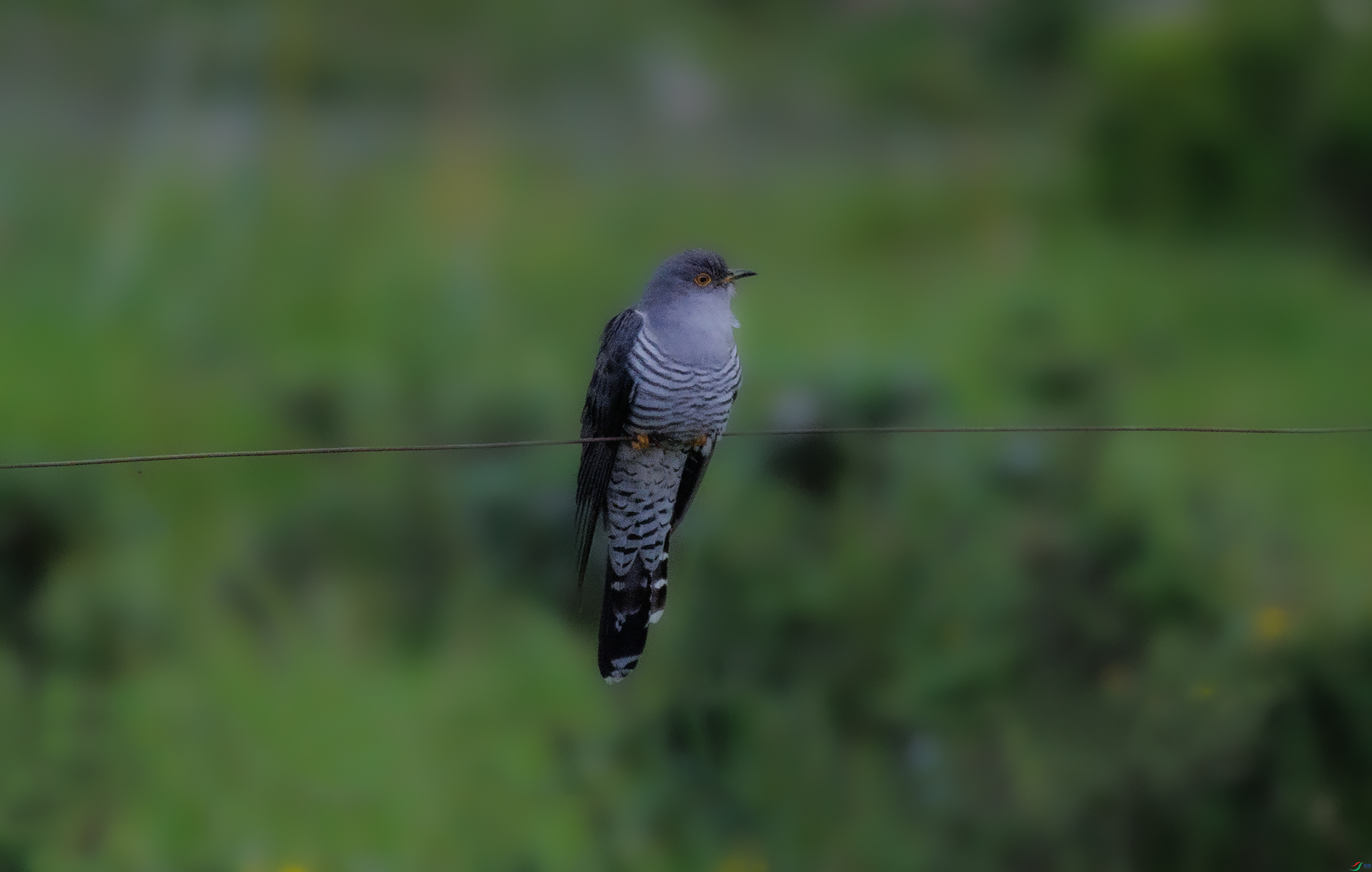 7X5A3379 ����.jpg