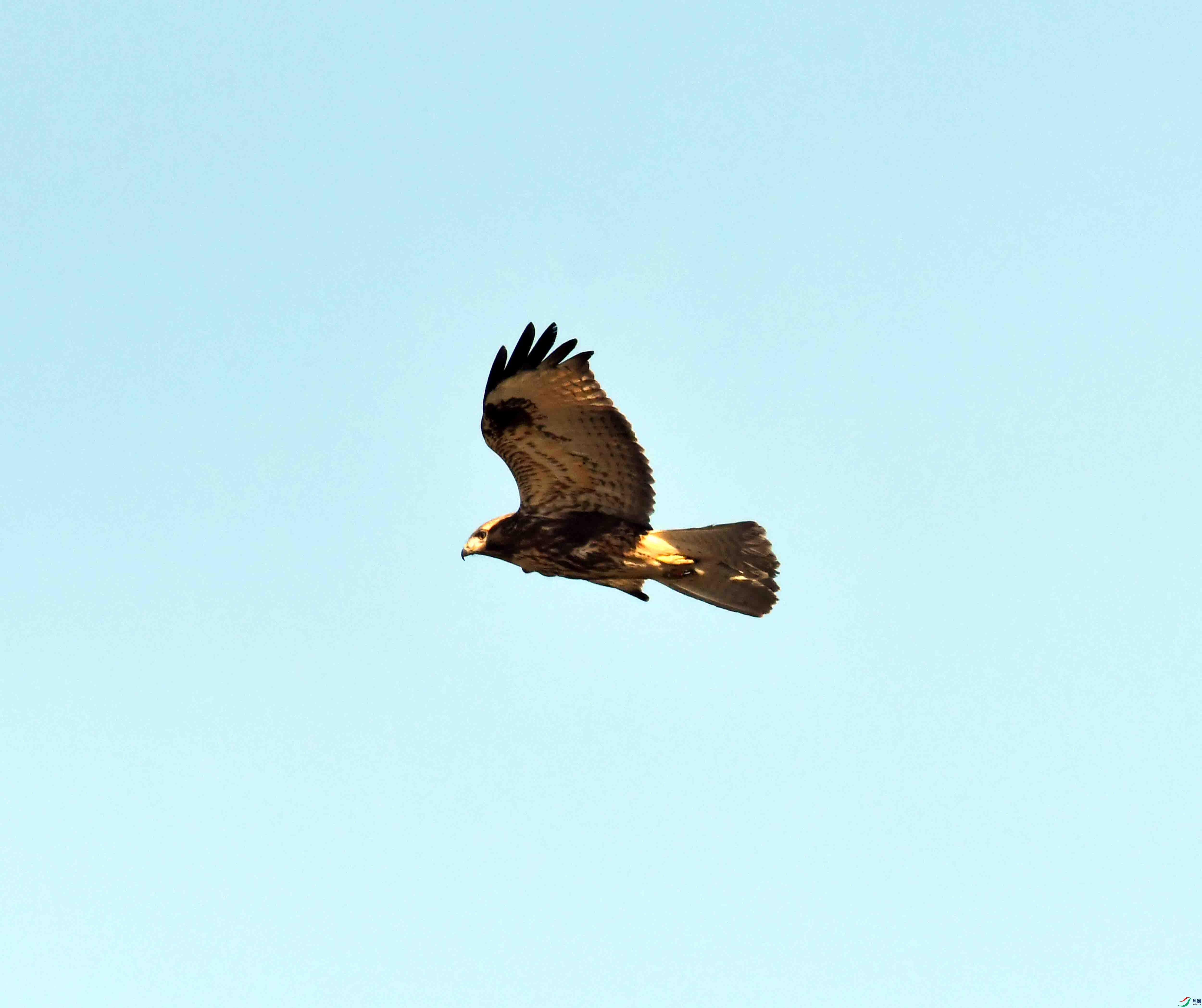 DSC_1631.JPG