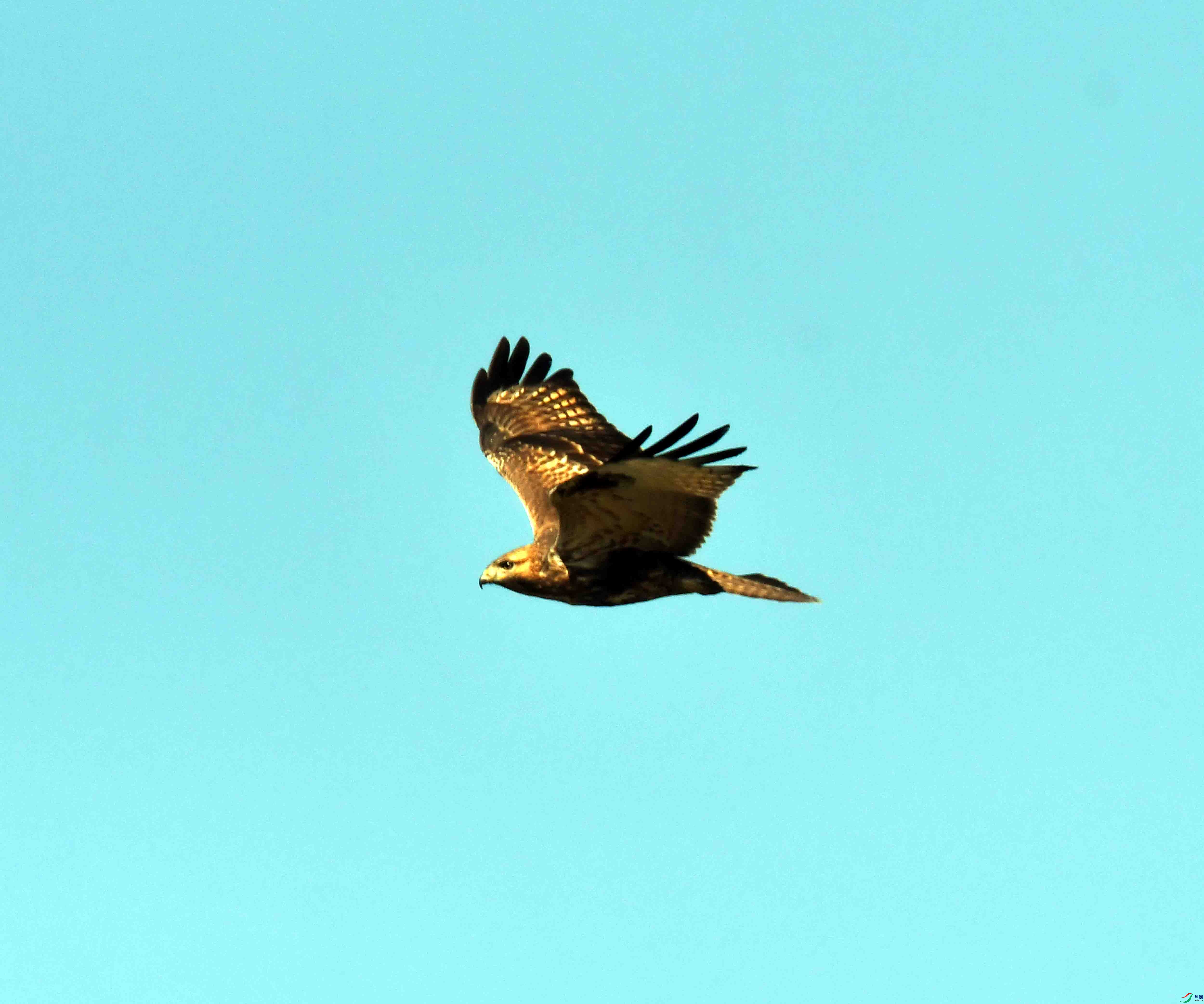 DSC_1637.JPG