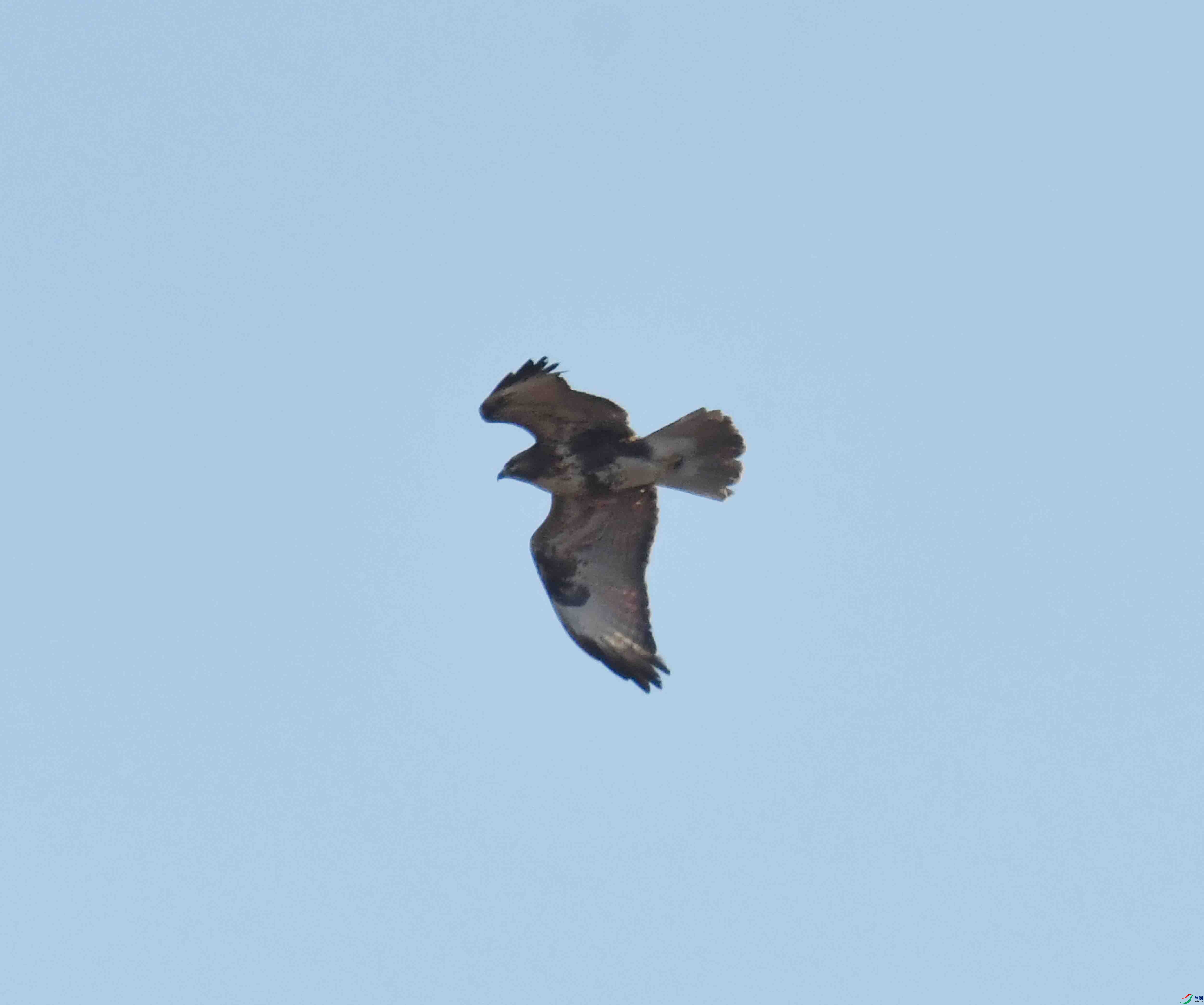 DSC_3582.JPG