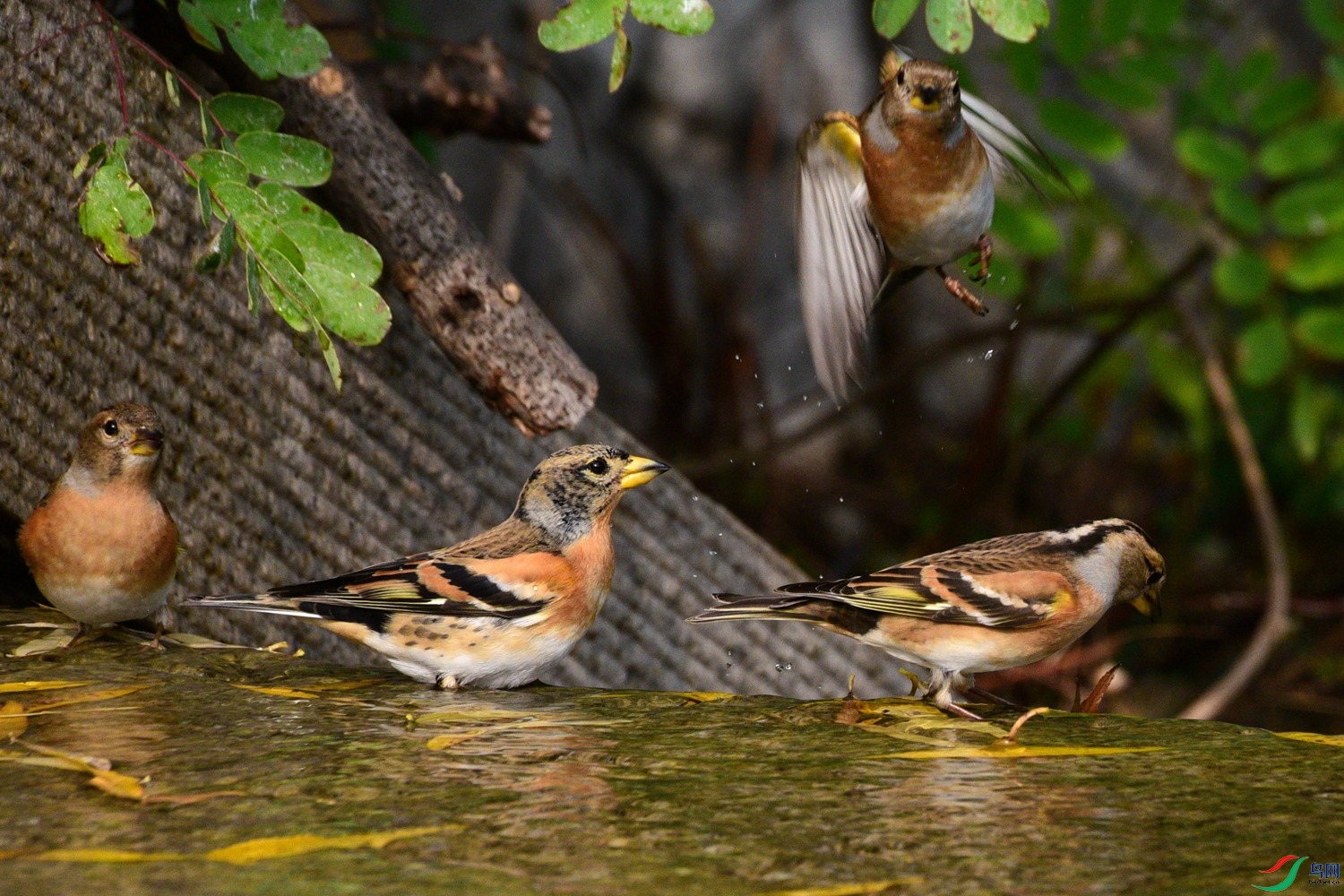 DSC_6429.JPG