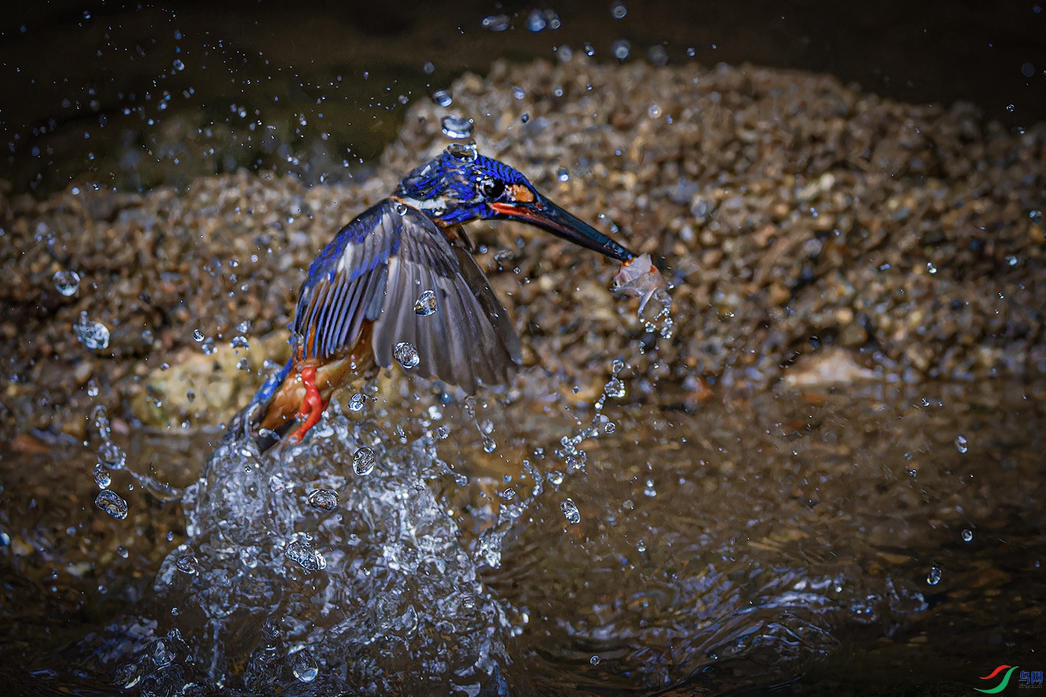 _97A2323-CR3 copy.jpg