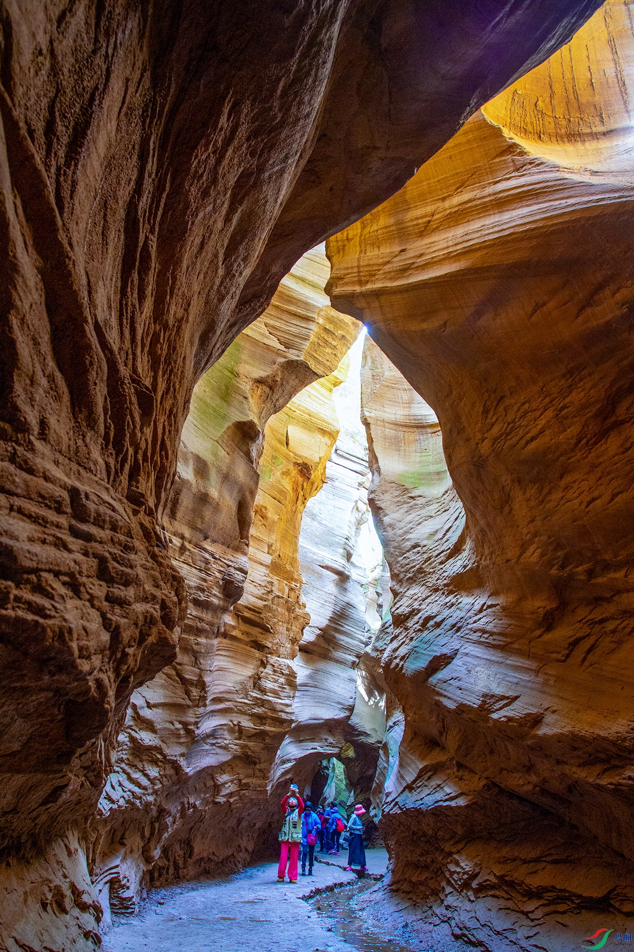 DSC_6156 ���� 2.jpg