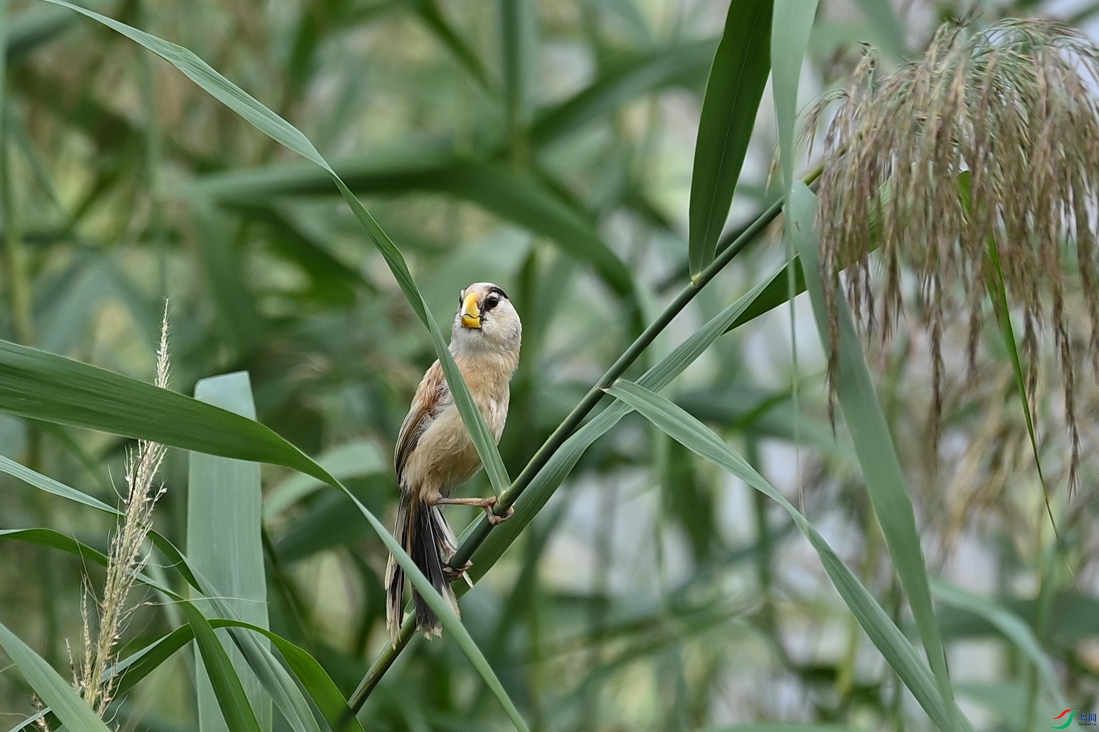 DSC_6740.JPG